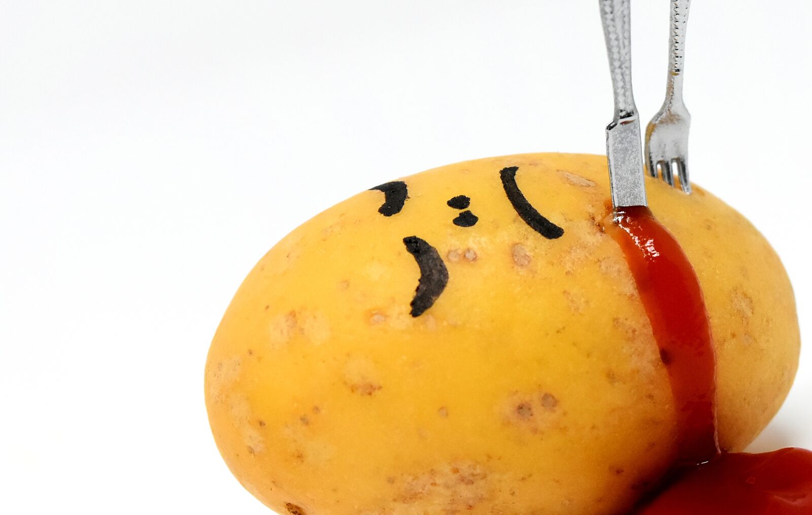 Nikon D7200 sample photo. Potato, meal, ketchup photography