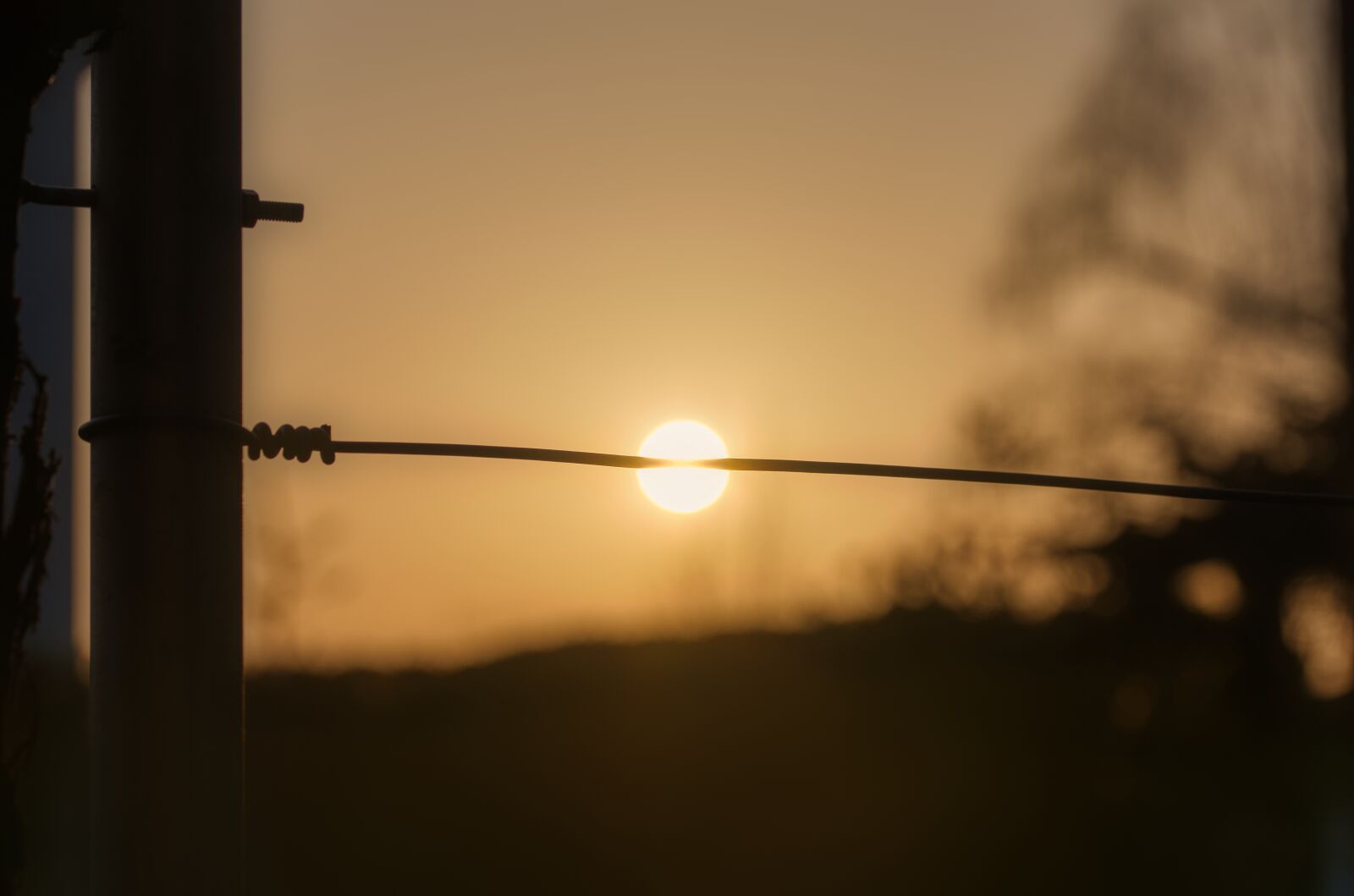 Nikon D750 sample photo. Sun, backlighting, shadow photography