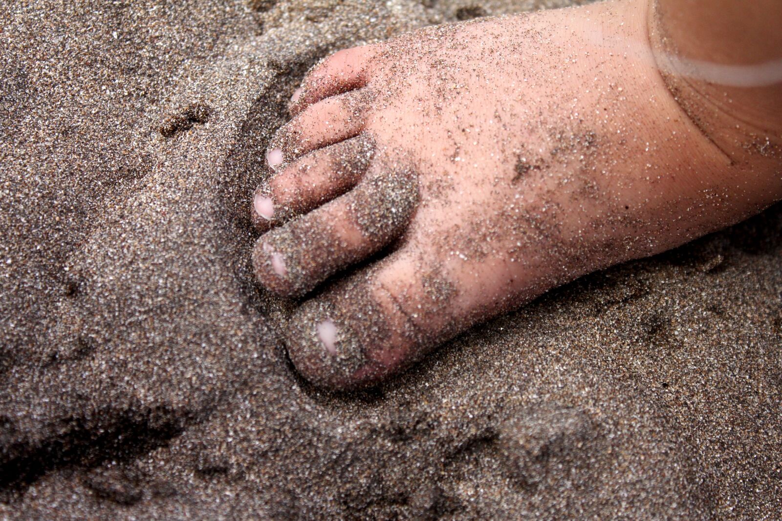 Canon EOS 550D (EOS Rebel T2i / EOS Kiss X4) sample photo. Feet, bebe, sand photography