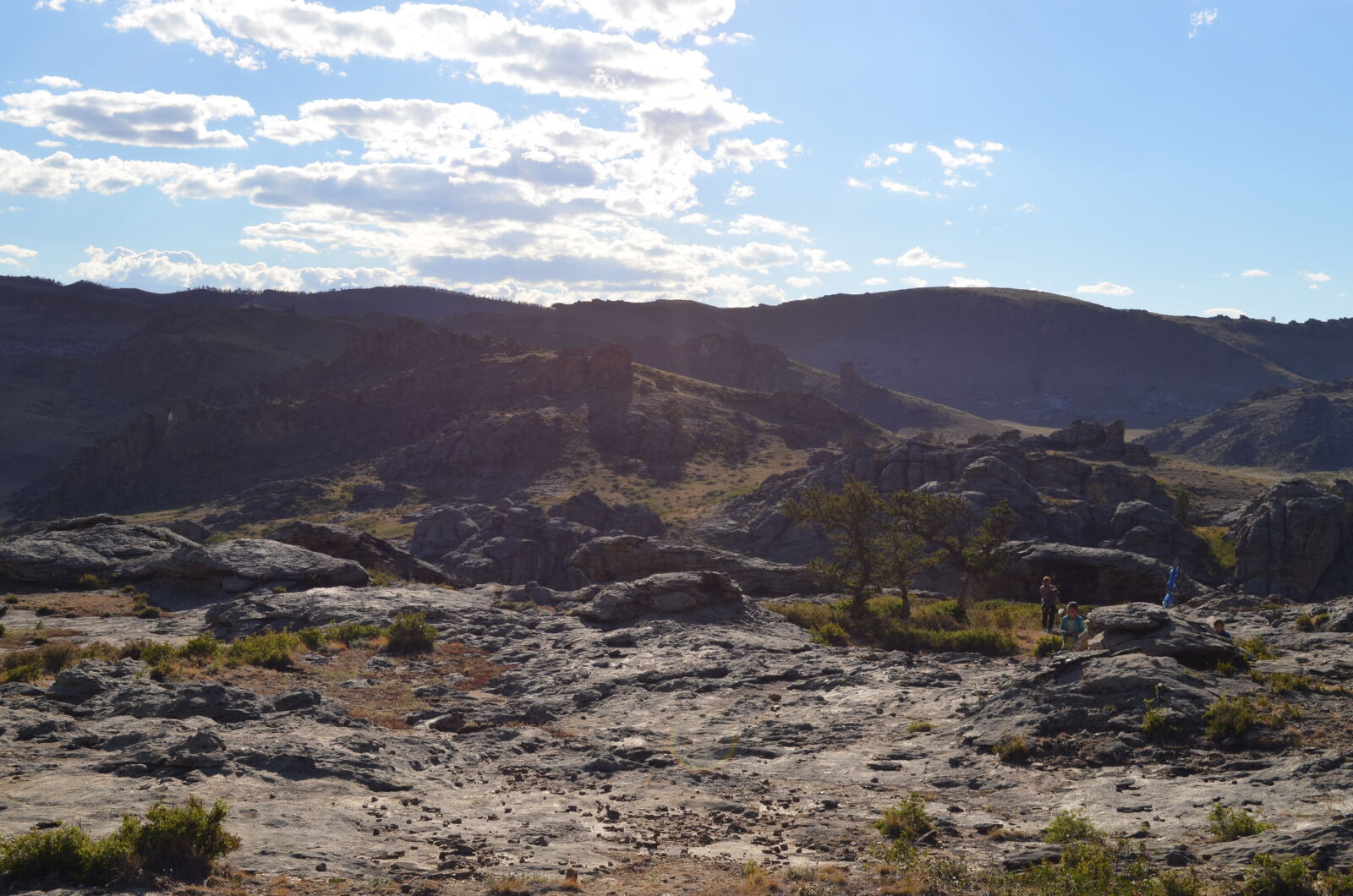 Nikon D5100 sample photo. Field, mongolia photography