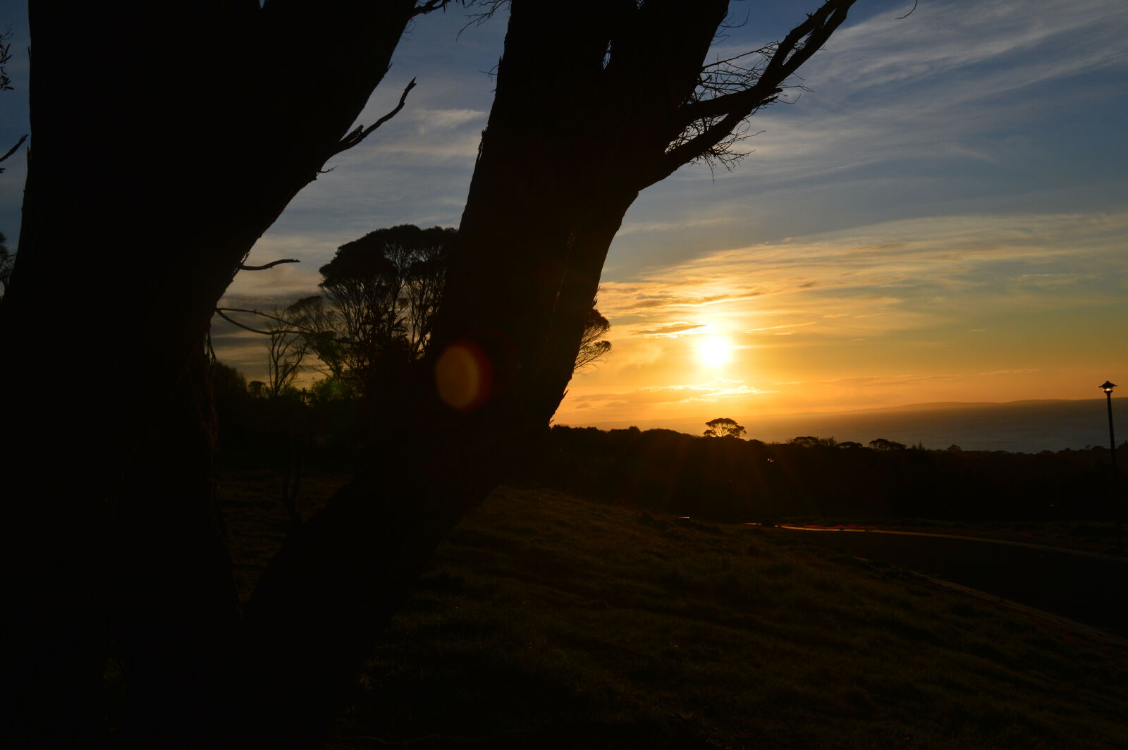 Nikon D3200 sample photo