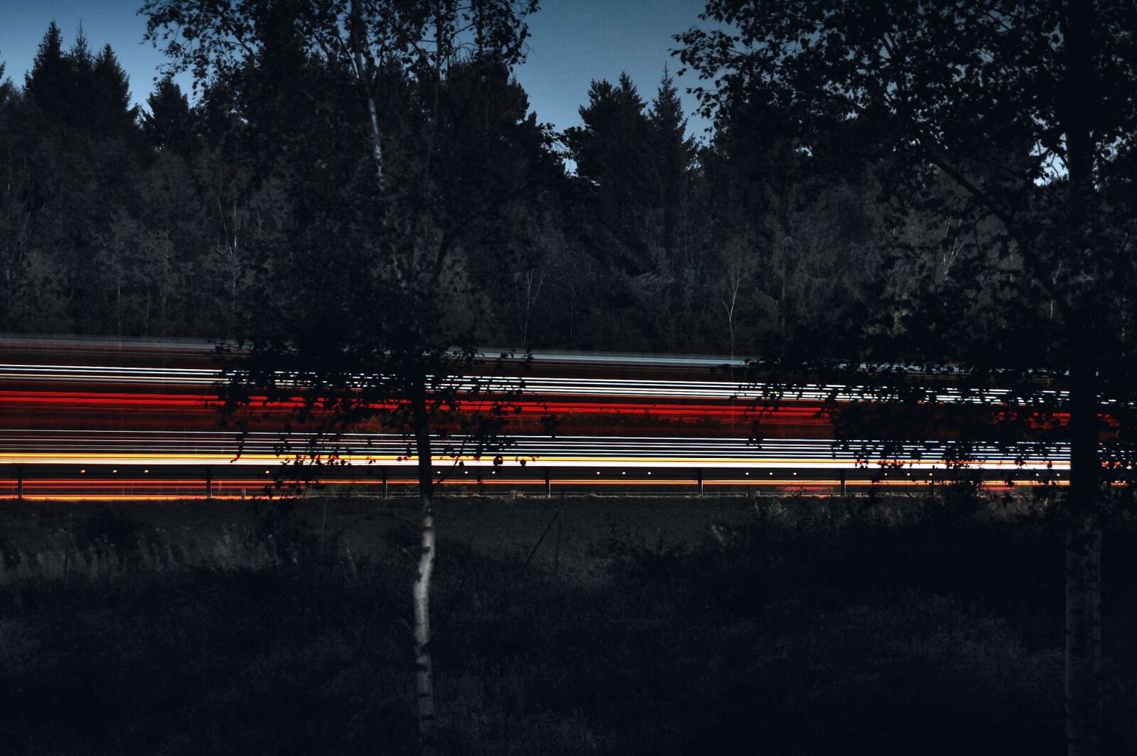 Nikon D40 sample photo. Landscape, light, night, trees photography