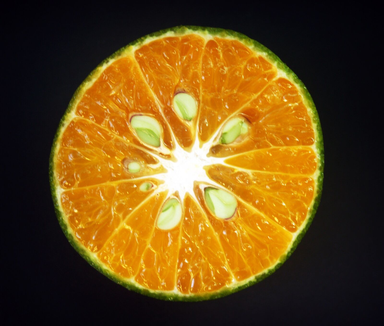 Olympus E-300 (EVOLT E-300) sample photo. Orange, fruit, slice photography