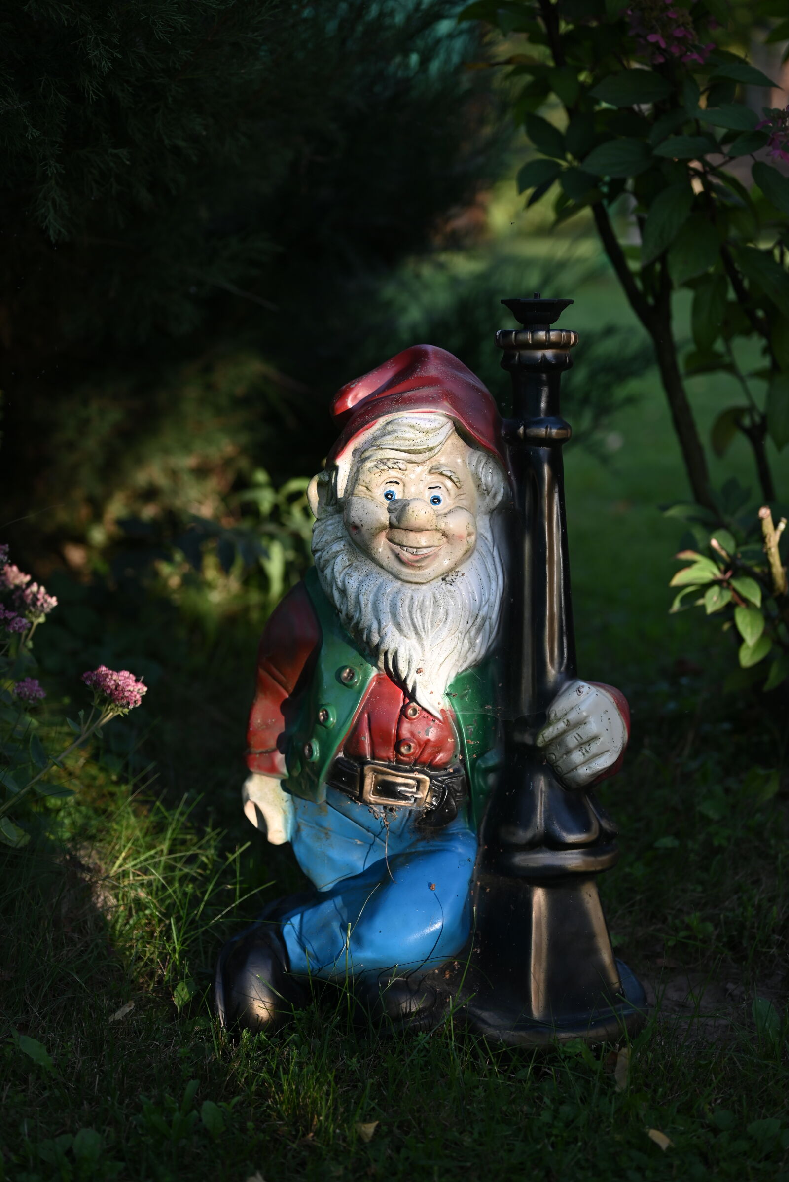 Nikon Z5 sample photo