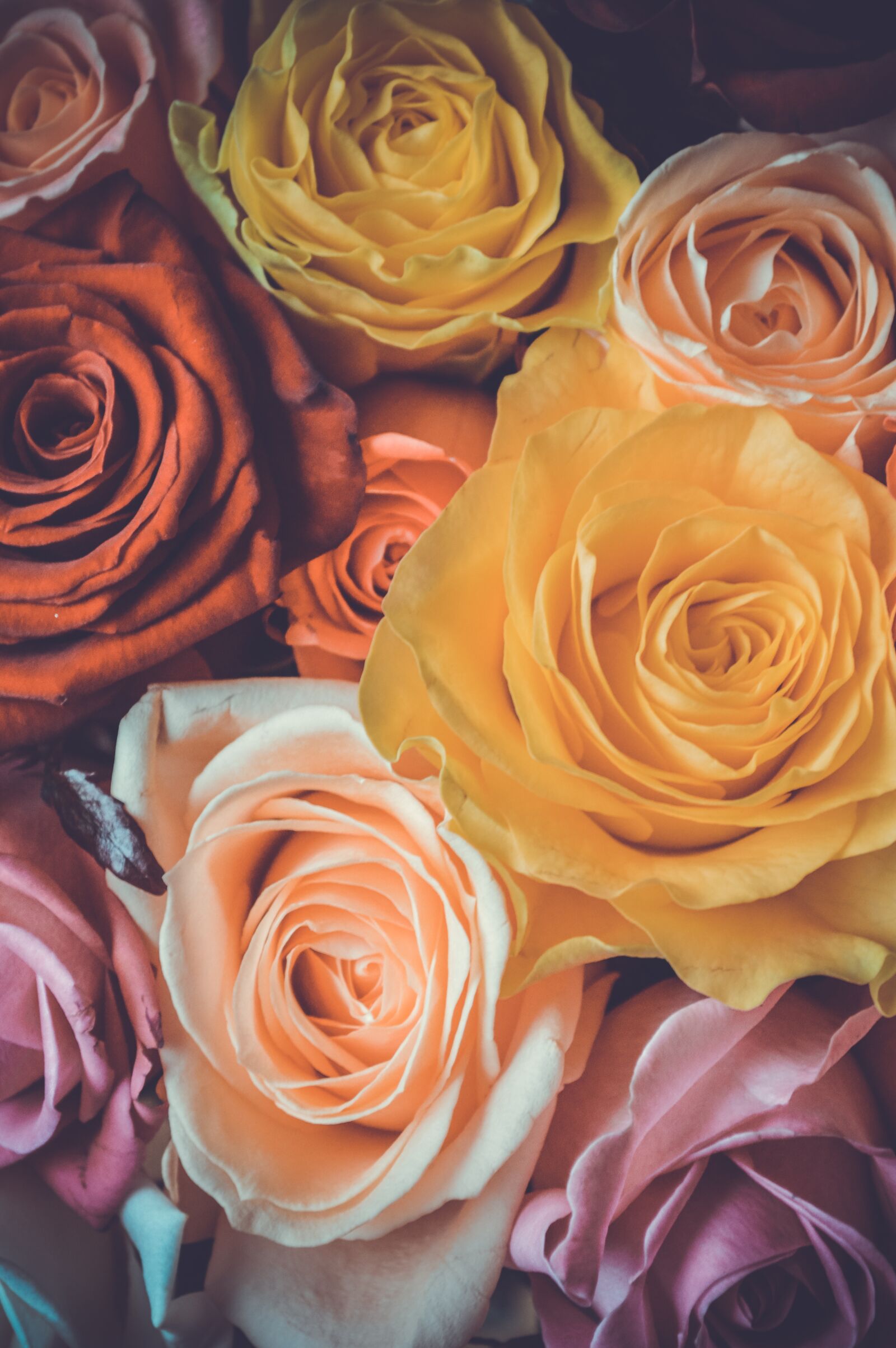Nikon D3200 sample photo. International women's day, march photography