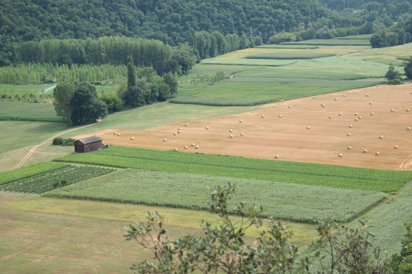 Samsung NX300 sample photo. France, field, country photography