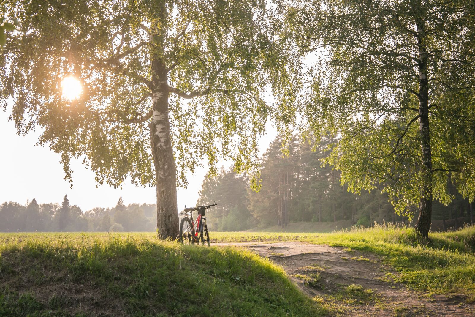 Canon EF 24-105mm F3.5-5.6 IS STM sample photo. Bike, summer, nature photography