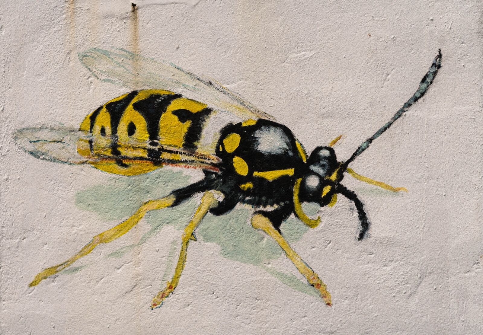 Sony a6500 + Sony Vario-Tessar T* E 16-70mm F4 ZA OSS sample photo. Wasp, wall, graffiti photography