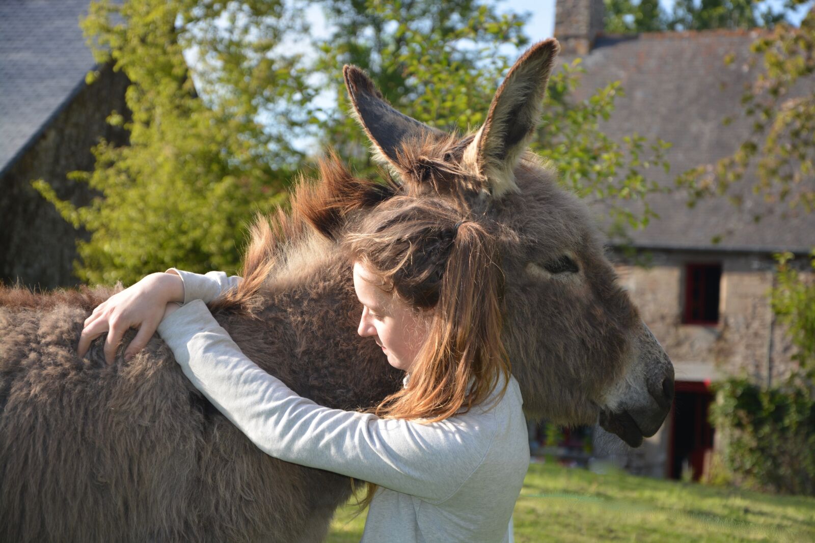 Nikon D5200 sample photo. Donkey, colt, girl photography
