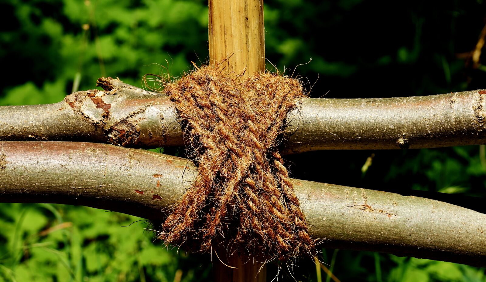 Nikon D7200 sample photo. Aesthetic, rope, tied together photography