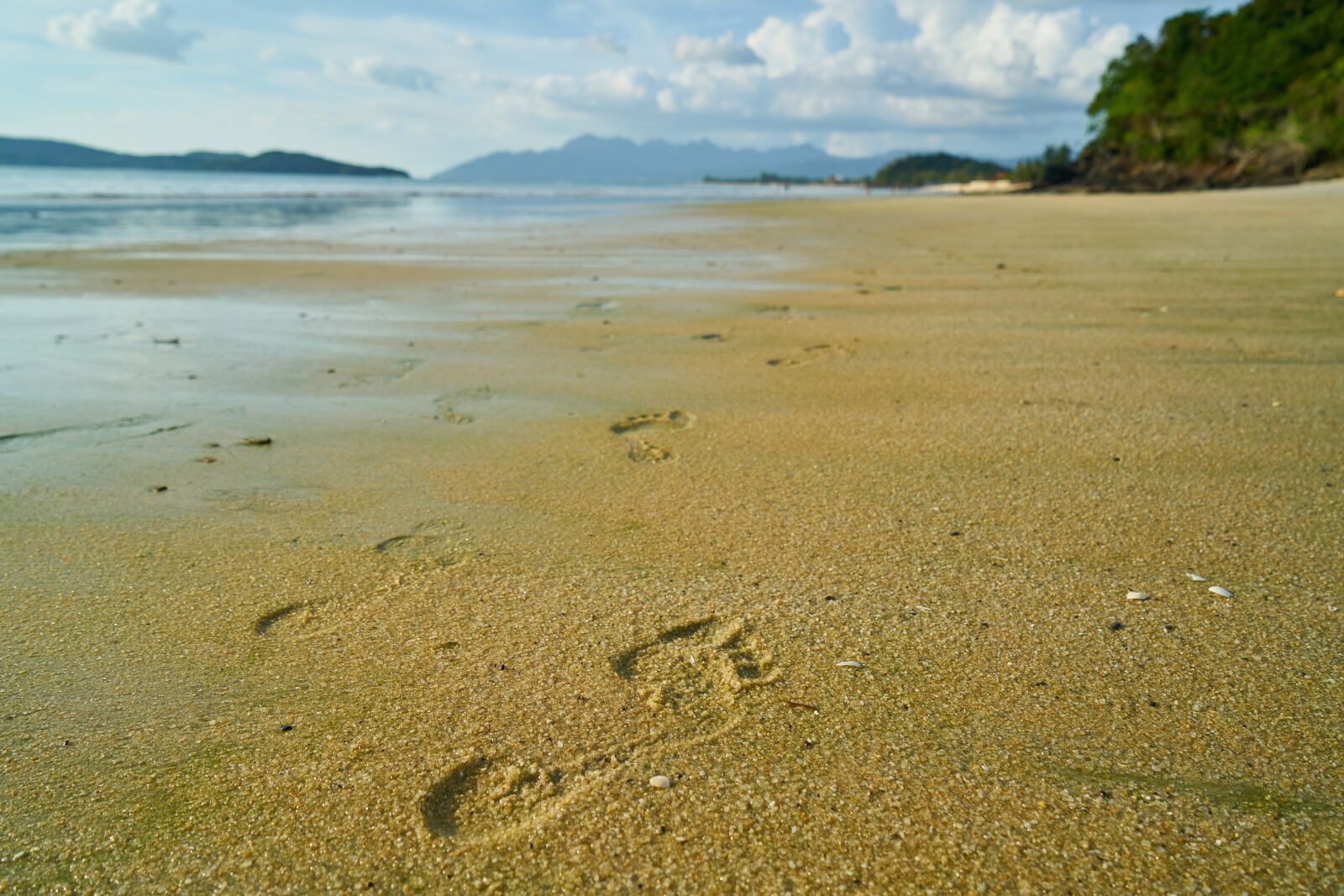 Sony a7R II sample photo. Beach, footprint, sand photography