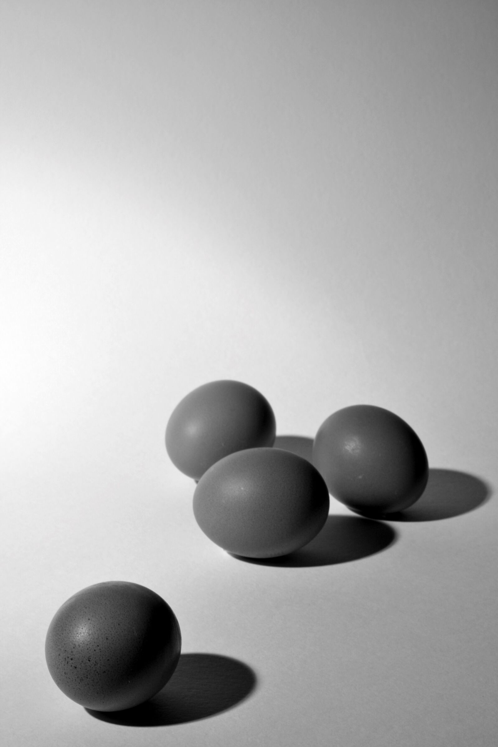 Canon EOS 1000D (EOS Digital Rebel XS / EOS Kiss F) sample photo. Eggs, group, system photography
