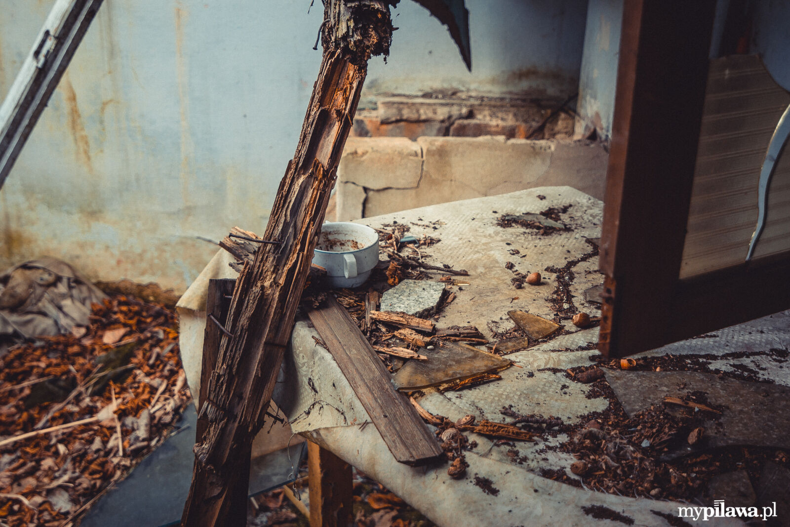 Canon EOS 70D sample photo. Cup, wood photography