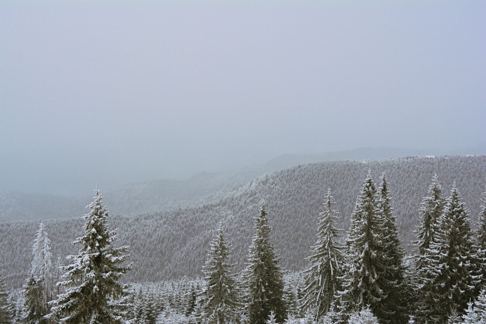 Nikon D5200 sample photo. Mountain, winter, rânca photography