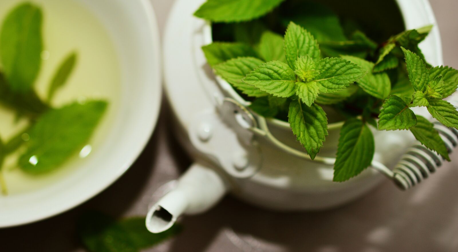 Nikon D5200 sample photo. Peppermint, medicinal plant, medicinal photography