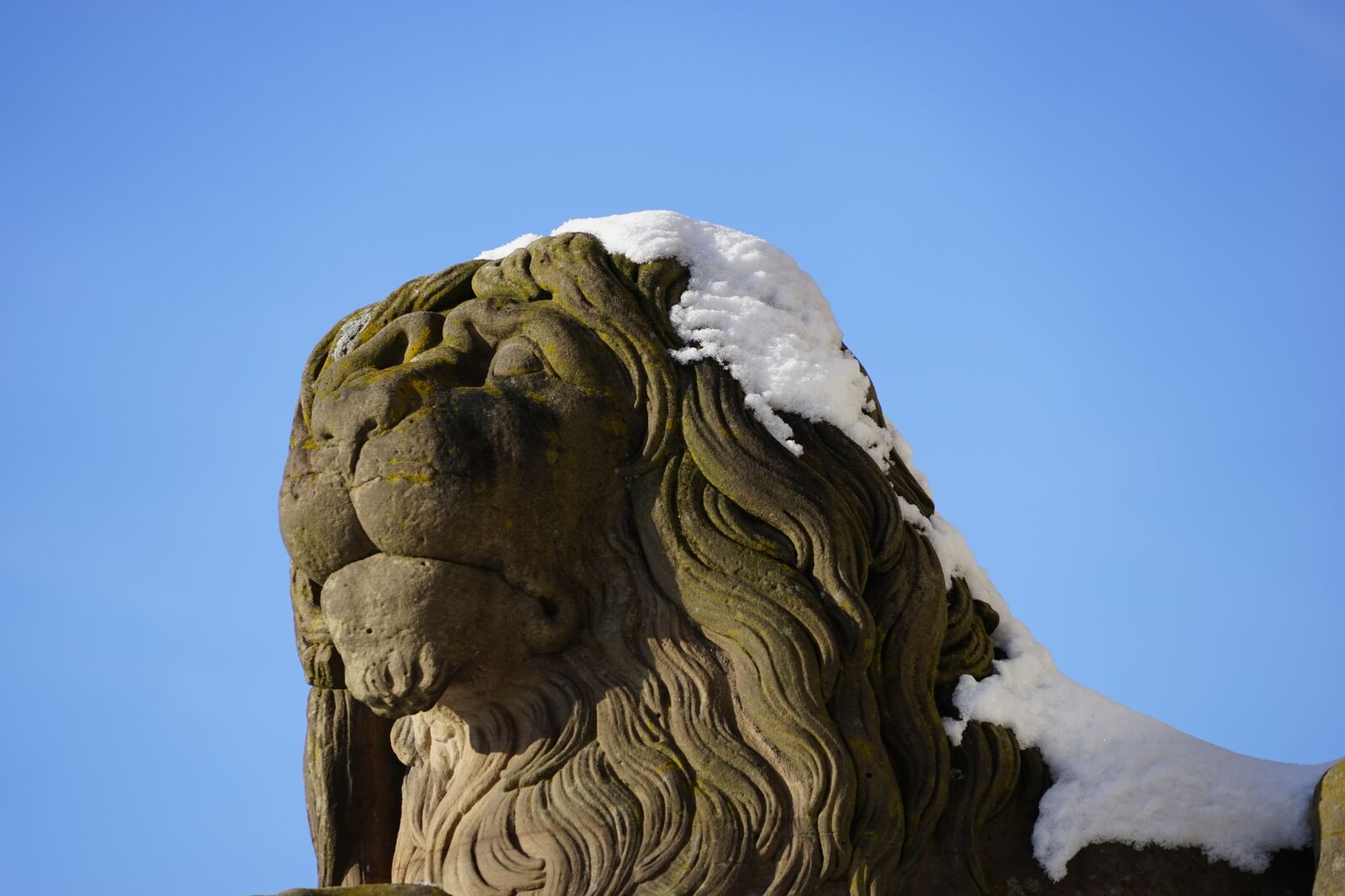Sony a7 sample photo. Lion, stone sculpture, statue photography