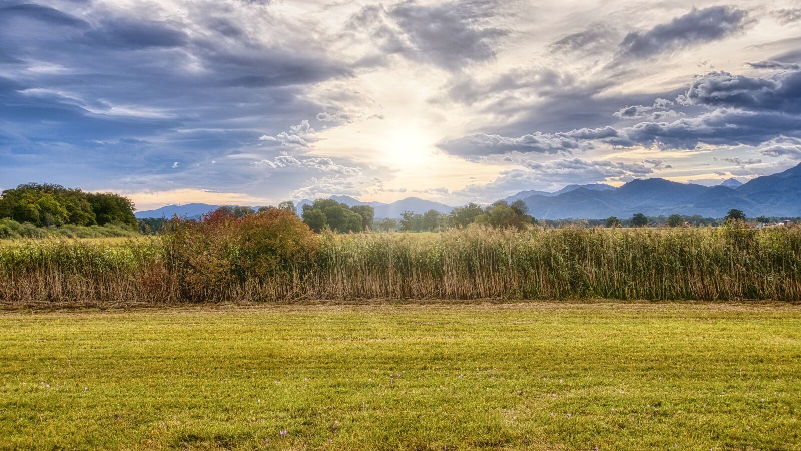 Nikon D7500 sample photo. Nature, field, plantation photography