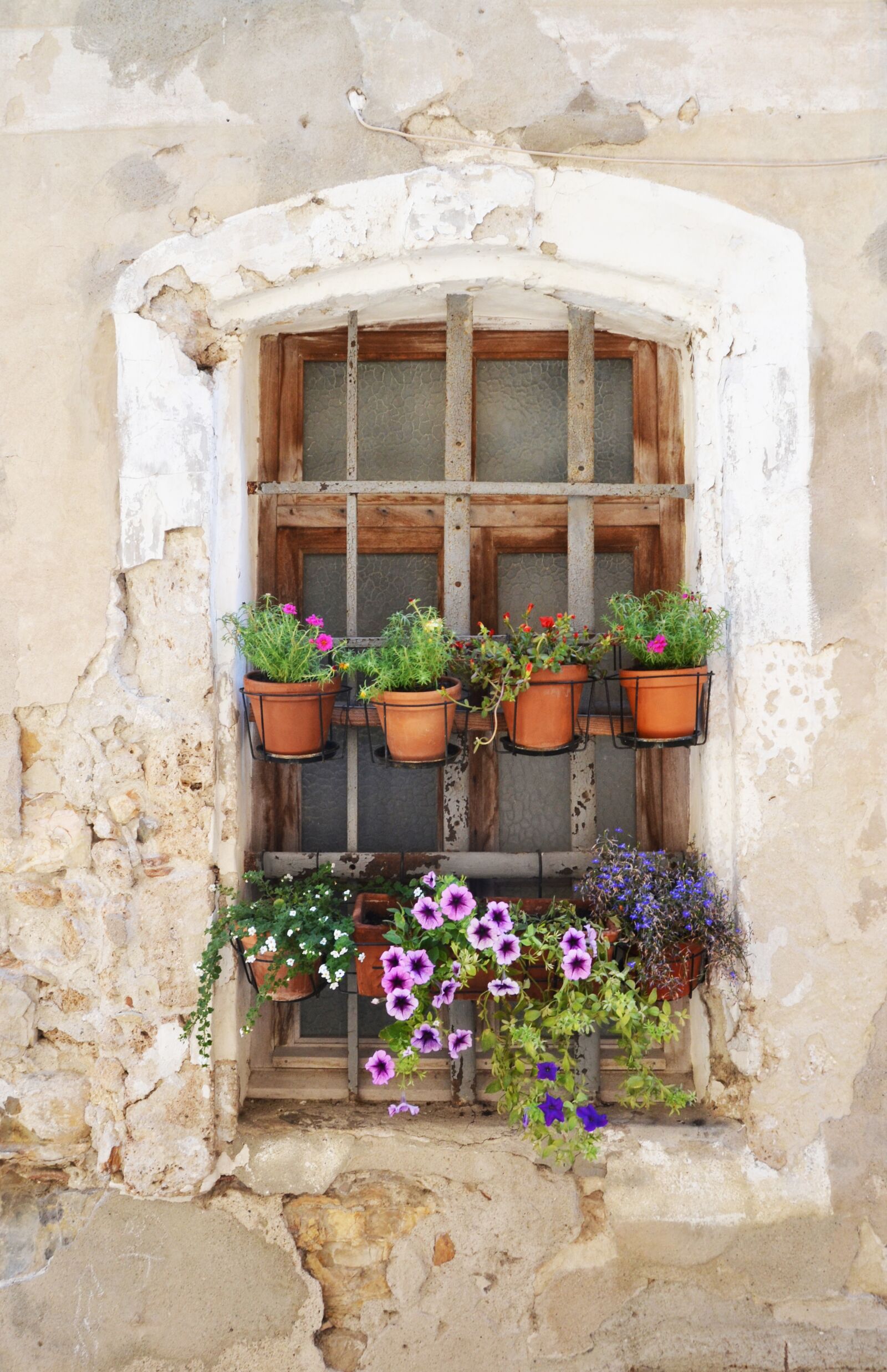 Nikon D3100 sample photo. Window, flowers, former photography