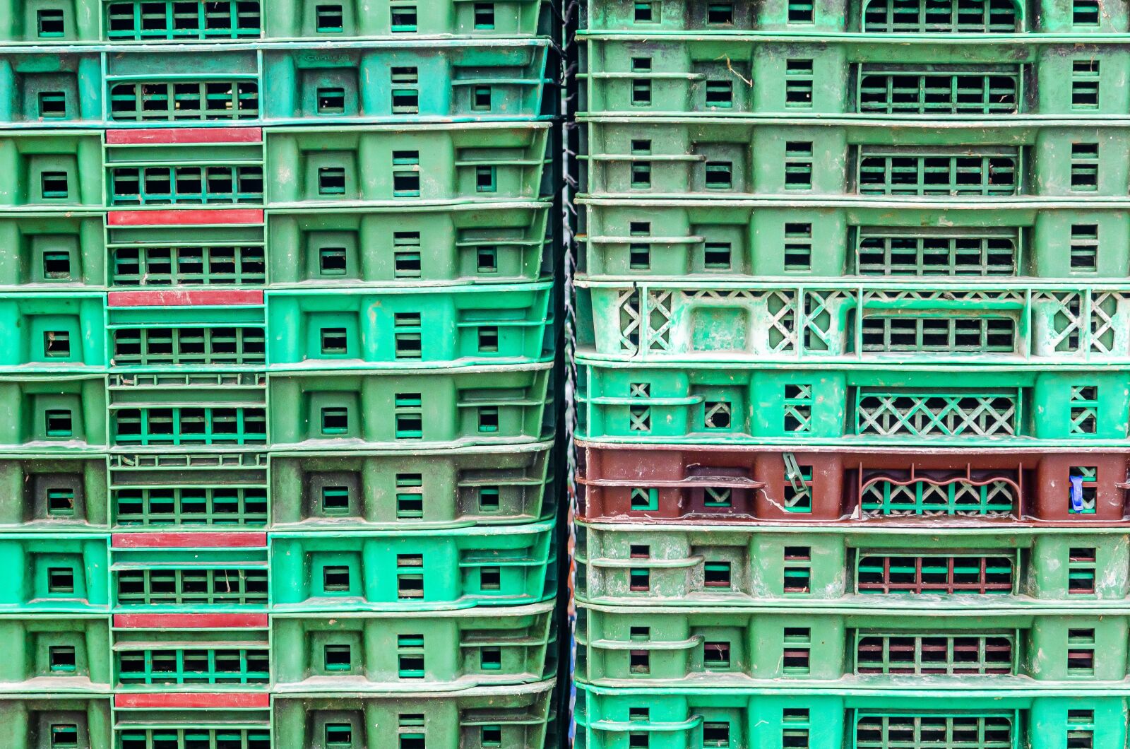 Nikon D7000 sample photo. Fund, color, green photography