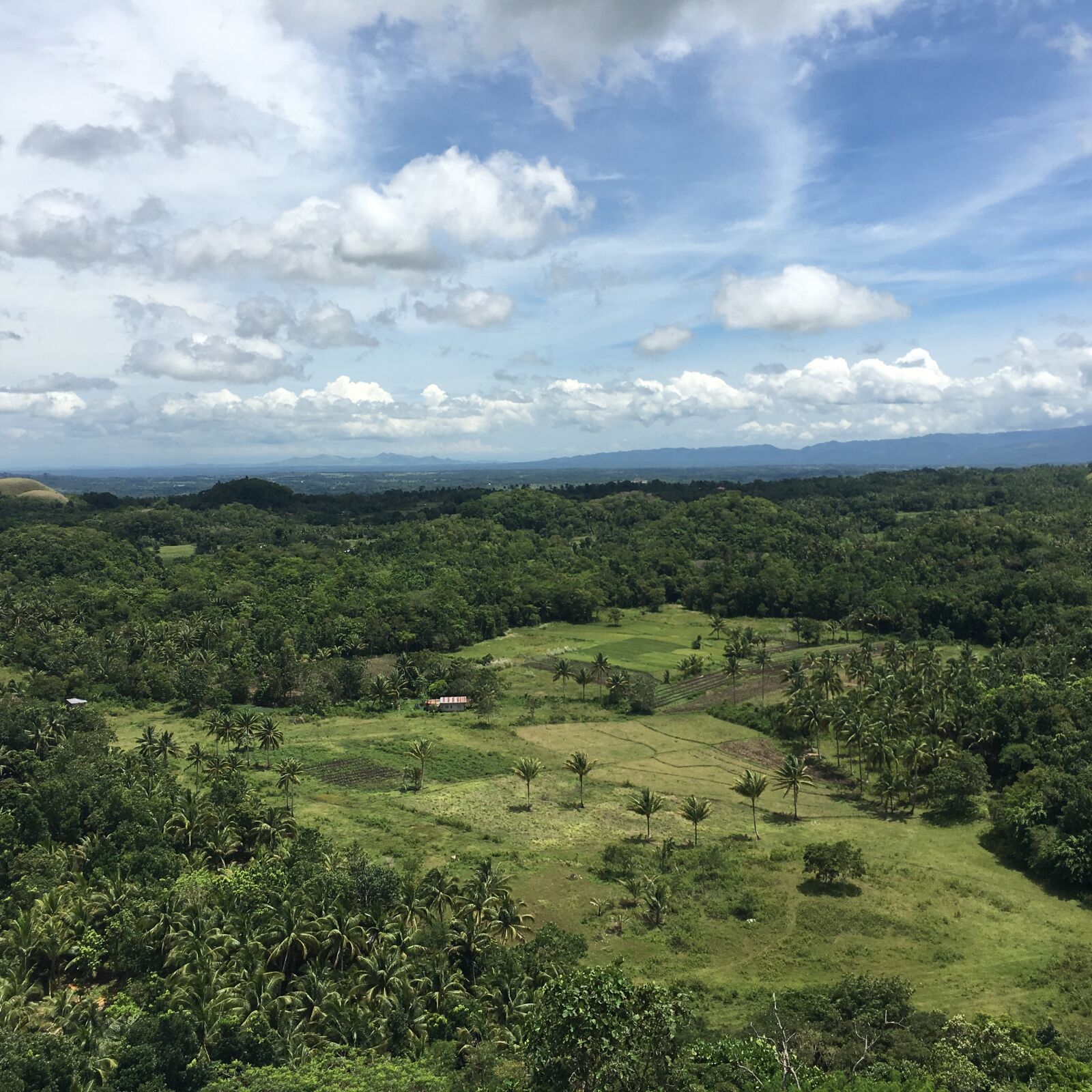 Apple iPhone 6s sample photo. Landscape, nature, ad photography