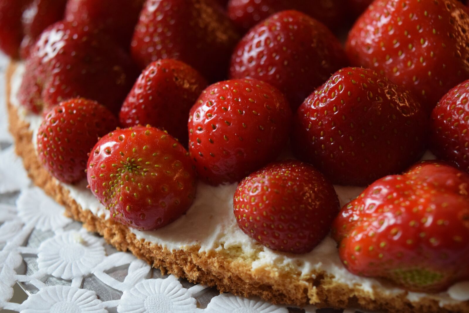 Nikon D3300 sample photo. Strawberries, strawberry cake, cake photography