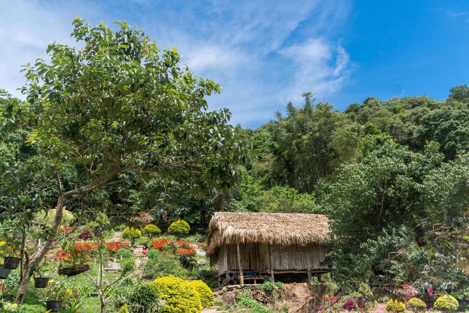 Sony a7R II + Sony FE 24-240mm F3.5-6.3 OSS sample photo. Chiang mai, thailand, asia photography