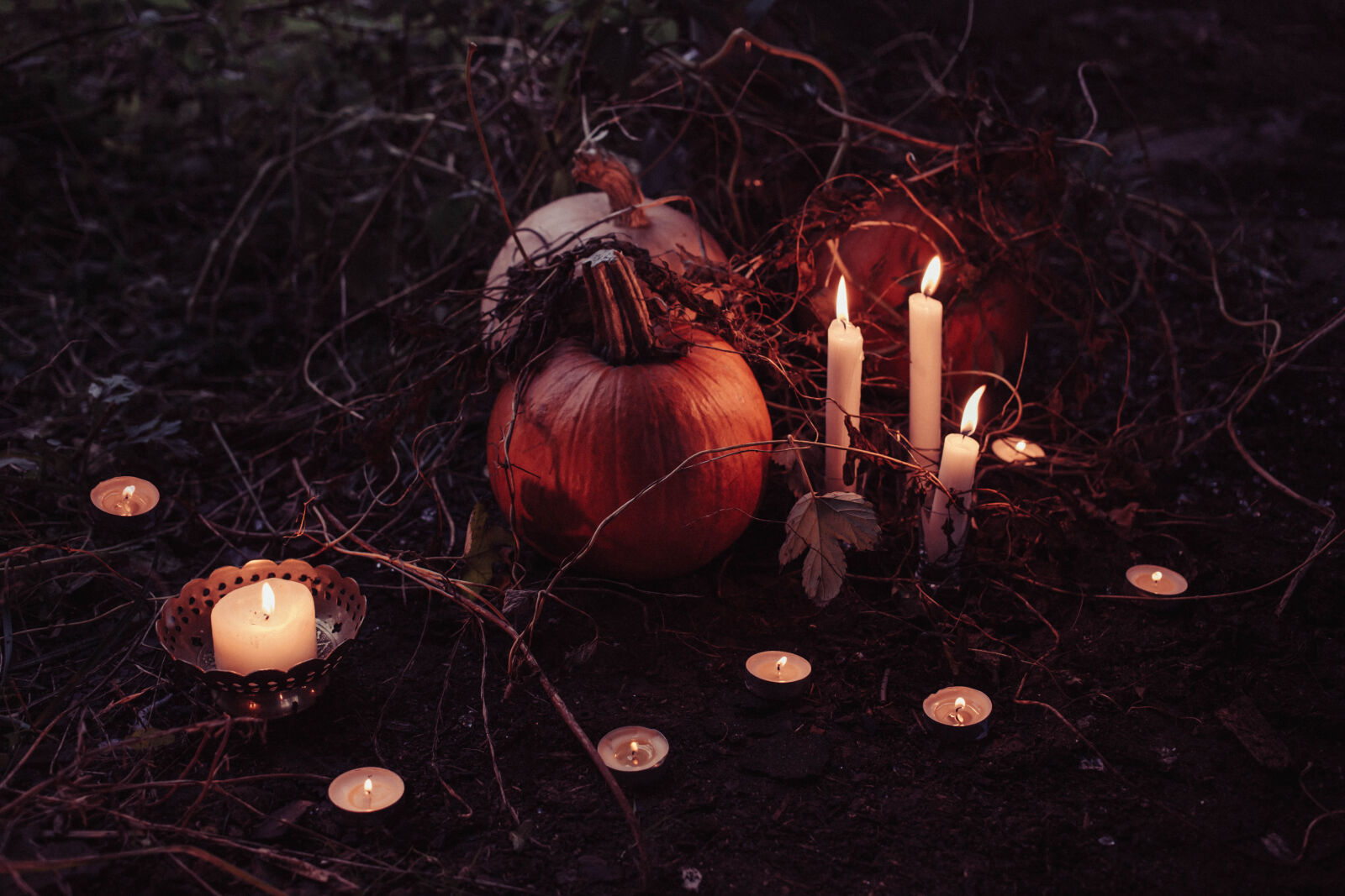 Canon EOS 6D + Canon EF 40mm F2.8 STM sample photo. Jack, o, lantern, beside photography