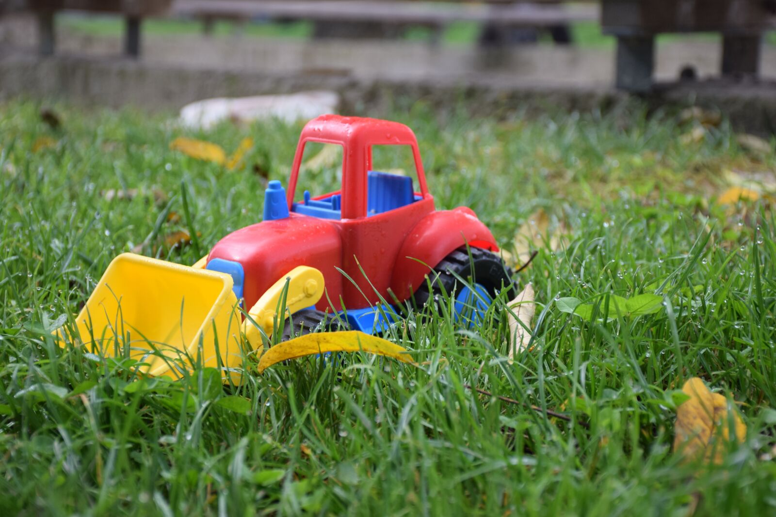 Nikon D5300 sample photo. Toy, grass, children photography