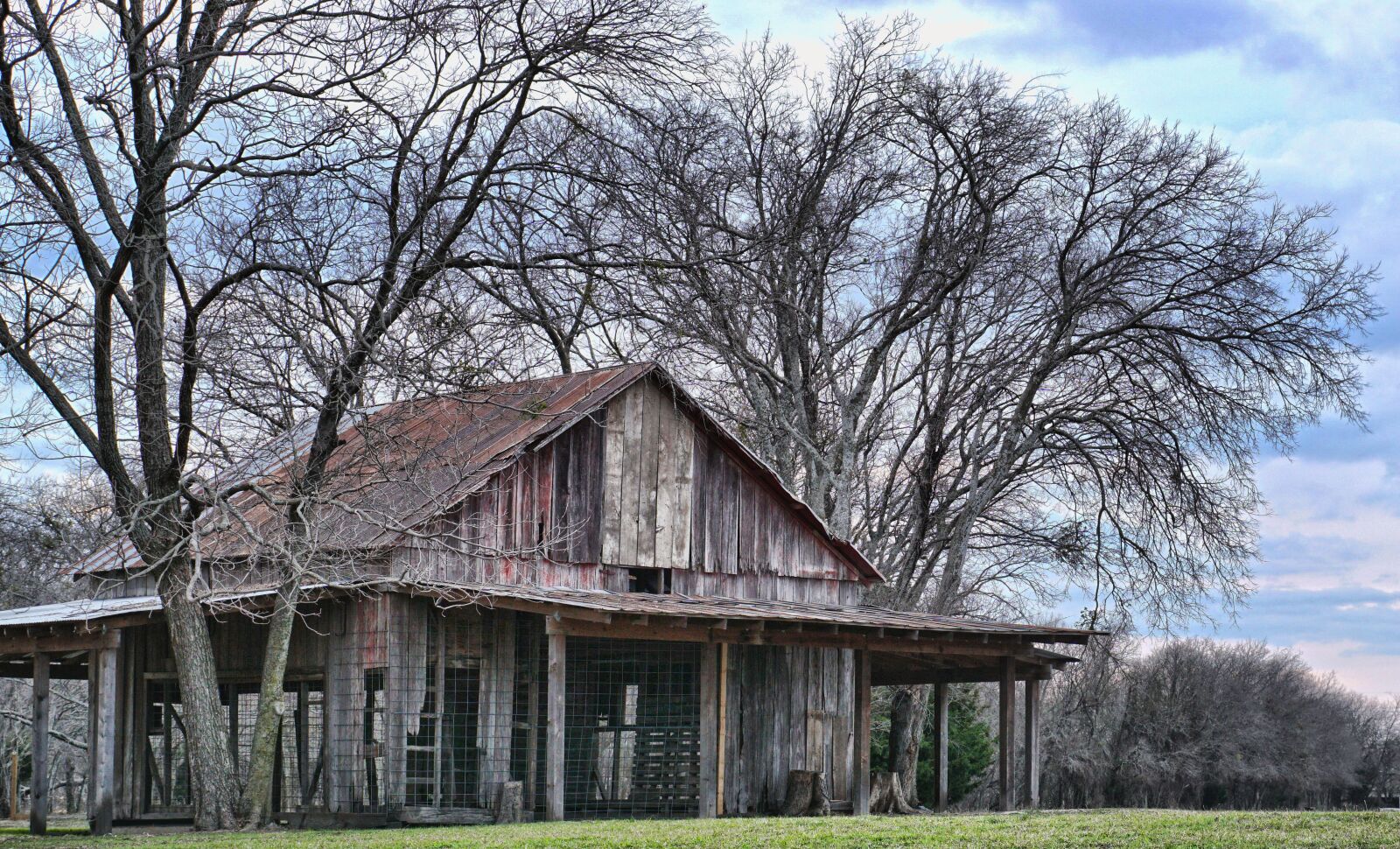 Sony DT 18-135mm F3.5-5.6 SAM sample photo. Tree, wood, house photography