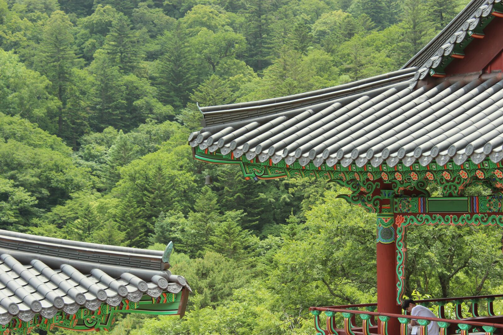 Canon EOS 600D (Rebel EOS T3i / EOS Kiss X5) sample photo. Roof tile, temple, buddhism photography