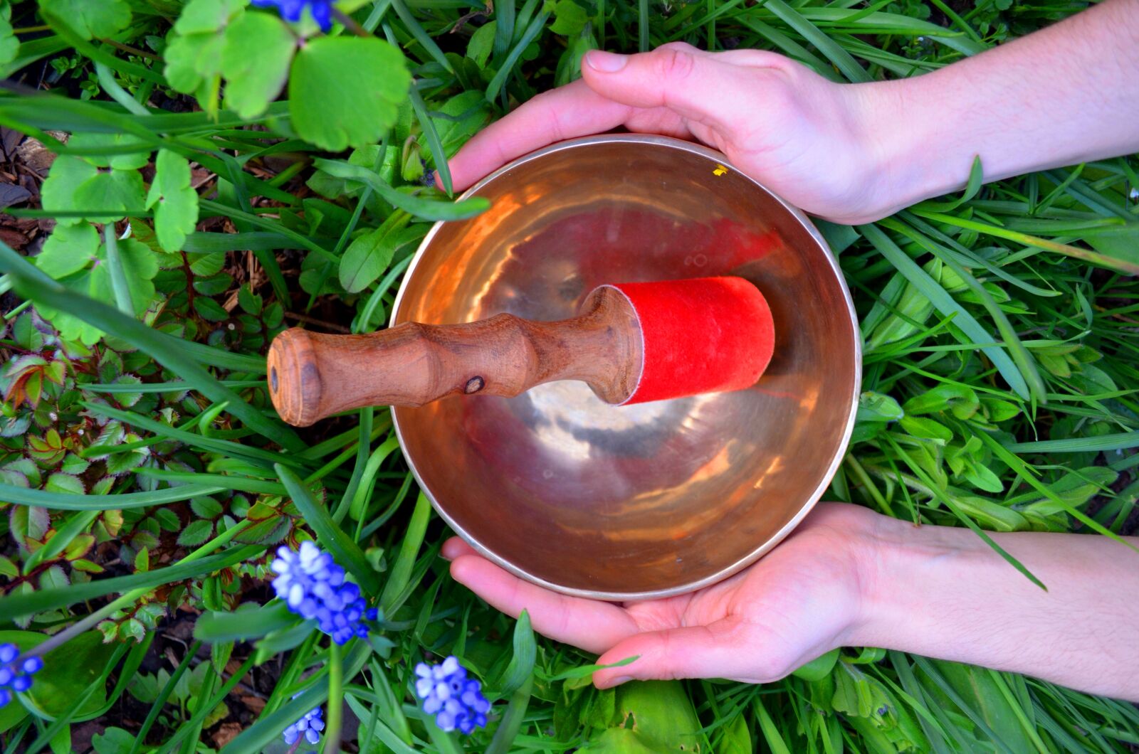 Nikon D5100 sample photo. Singing bowl, buddha, meditation photography