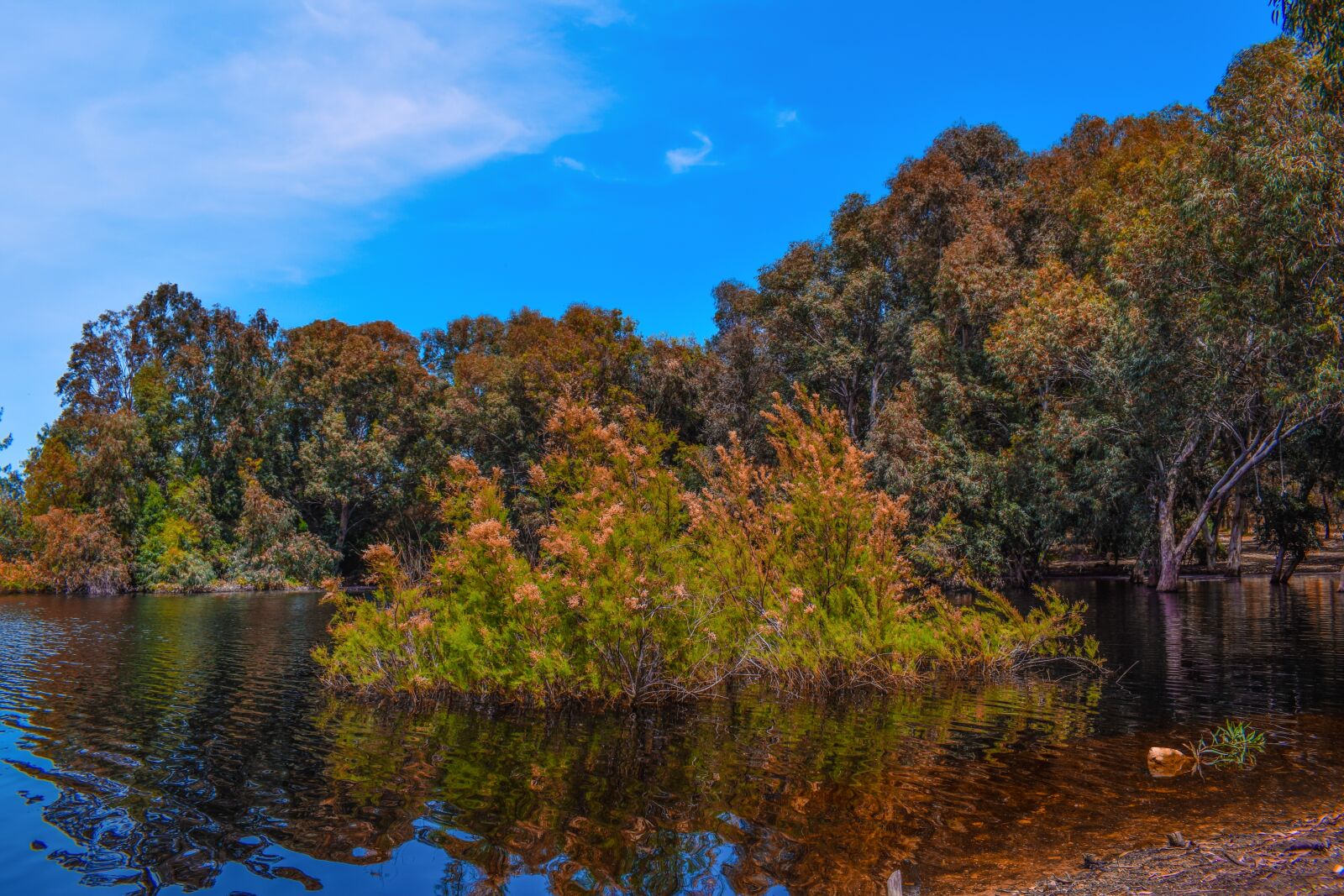 Nikon D3300 sample photo. Lake, forest, park photography