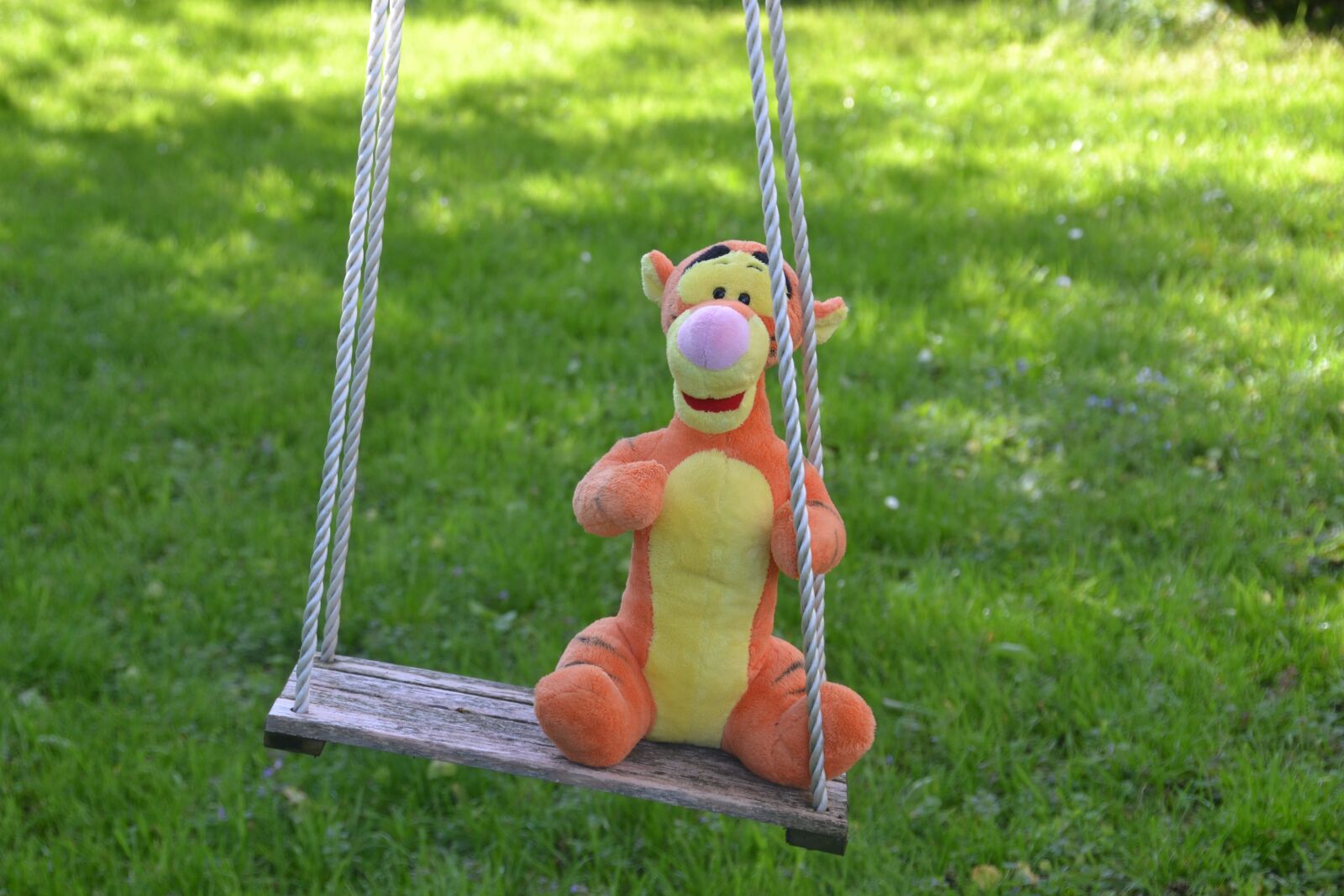 Nikon D3100 sample photo. Swing, rock, wooden swing photography