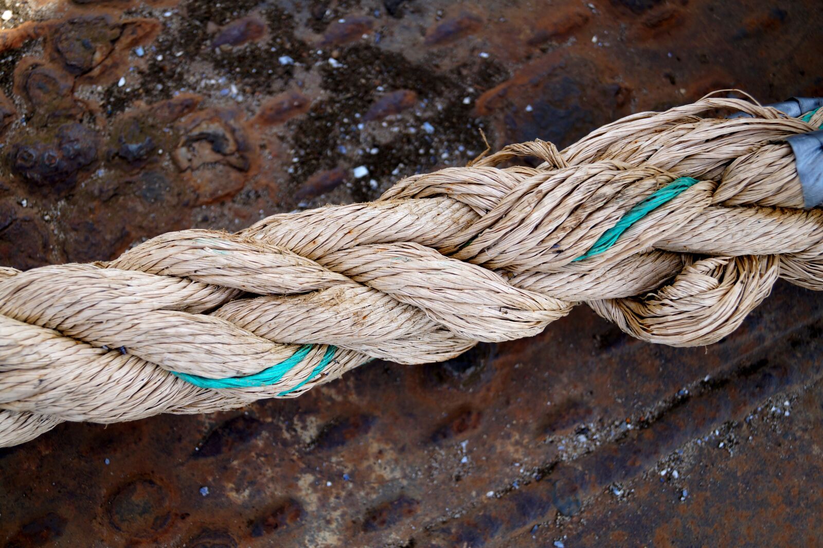 Sony DT 18-55mm F3.5-5.6 SAM II sample photo. Rope, festival, fixing photography