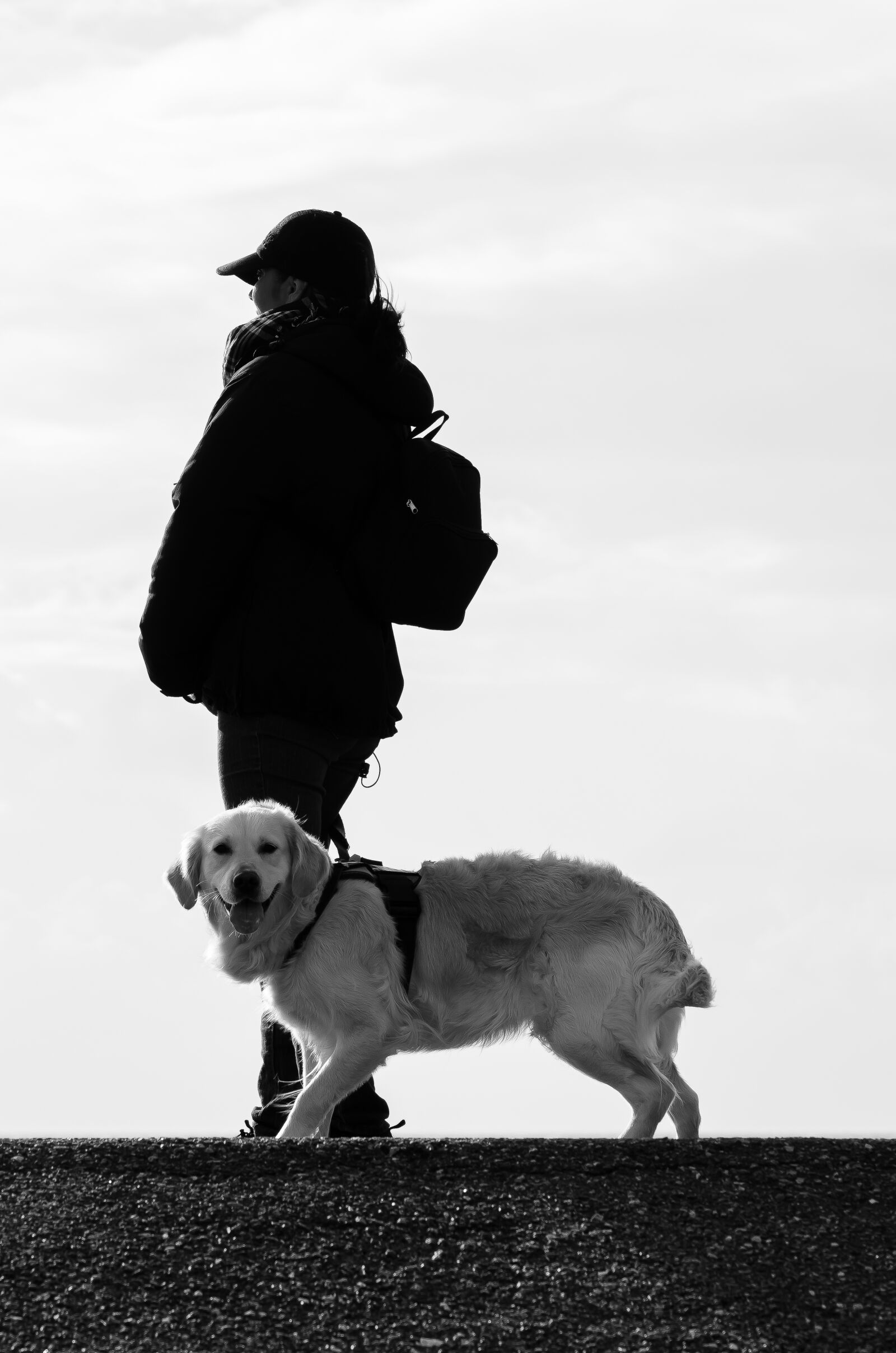Nikon D5100 sample photo. Dog, human, animal photography