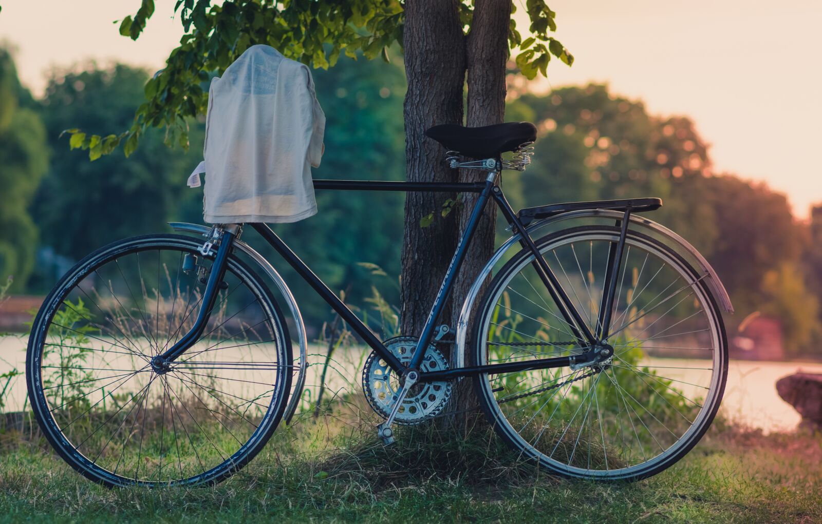 Nikon D7200 sample photo. Bicycle, bike, grass photography