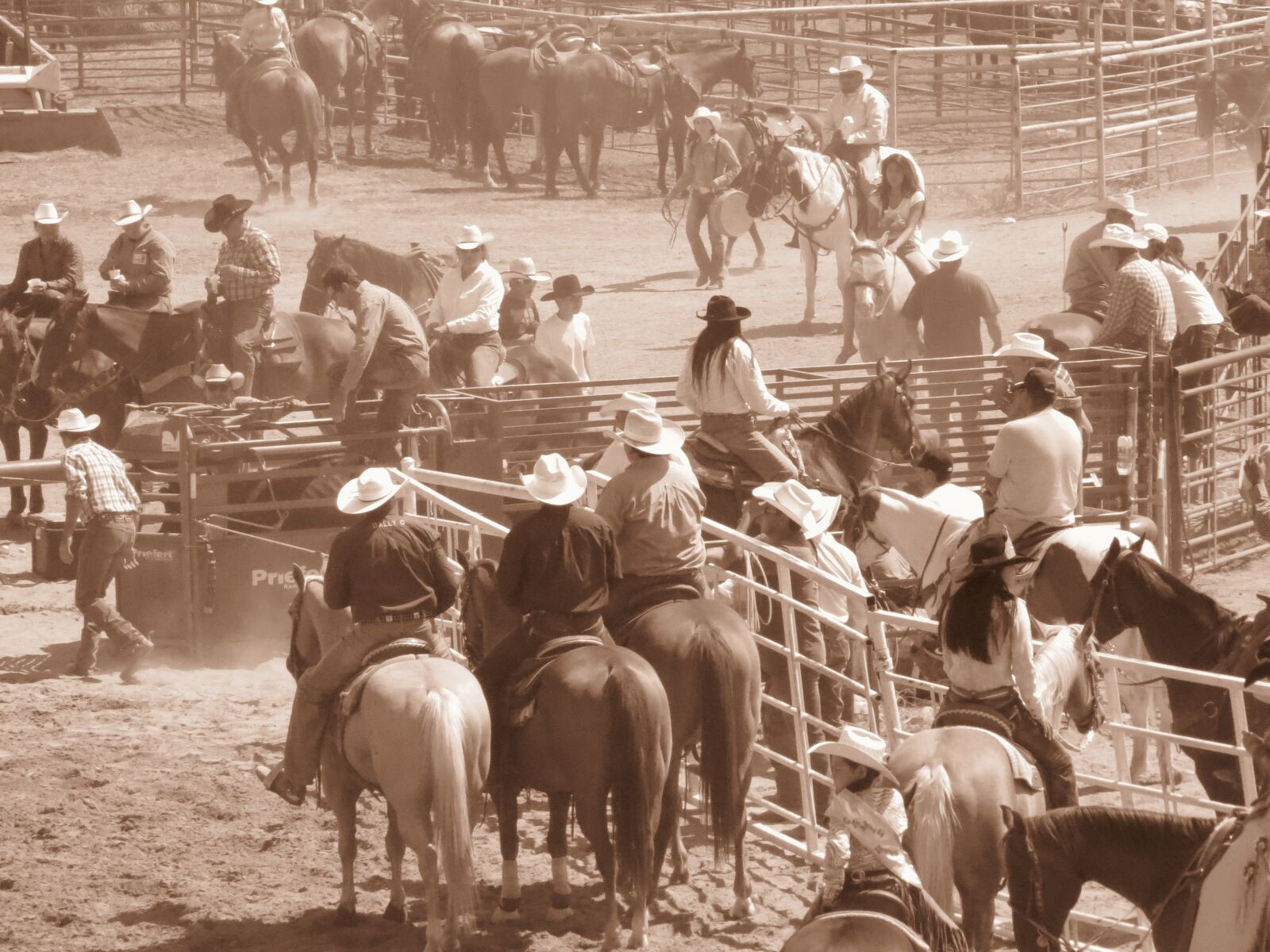 Canon PowerShot SX50 HS sample photo. Crow fair, rodeo, montana photography