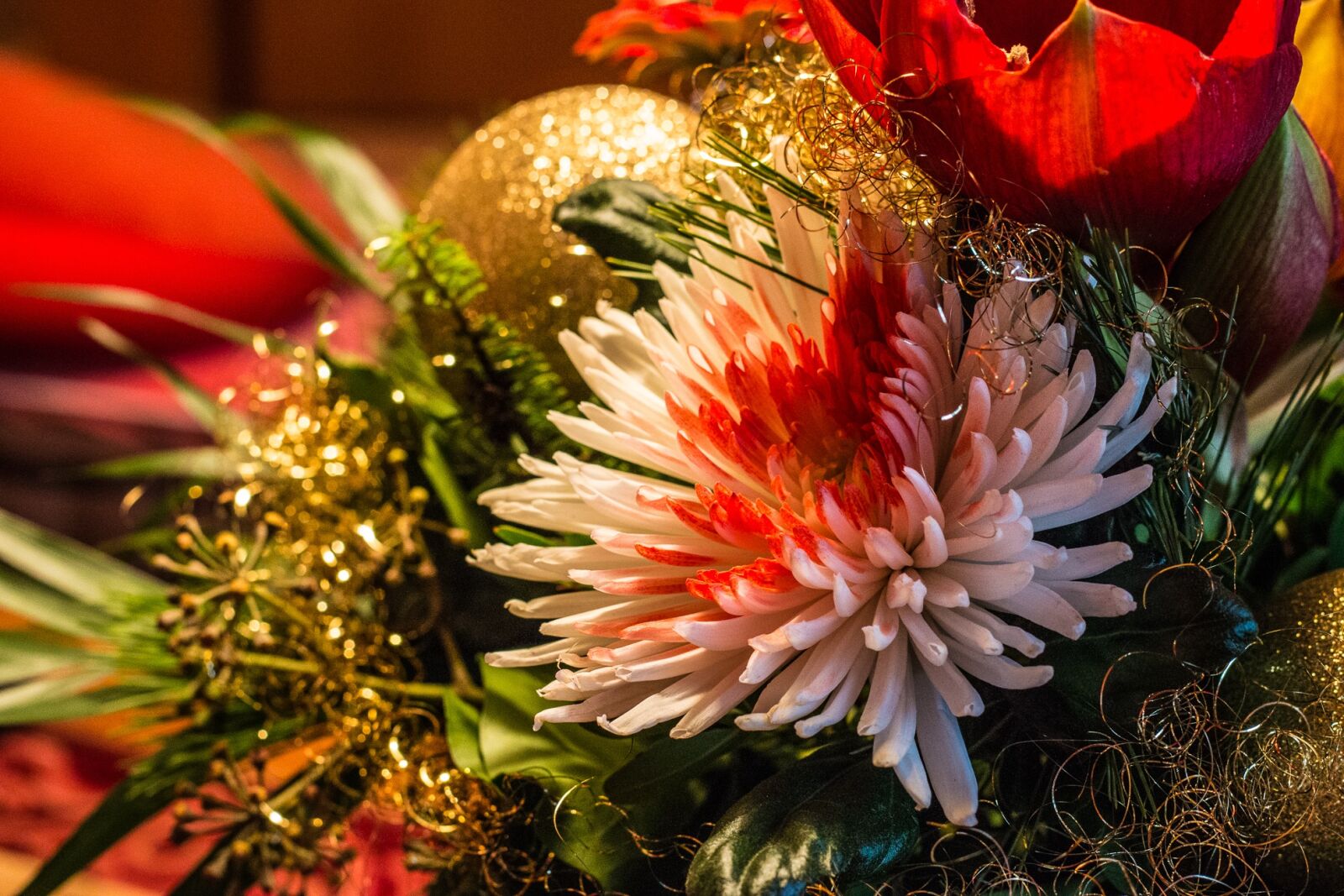Canon EOS 70D + Canon EF 50mm F1.8 STM sample photo. Christmas, fir tree, christmas photography