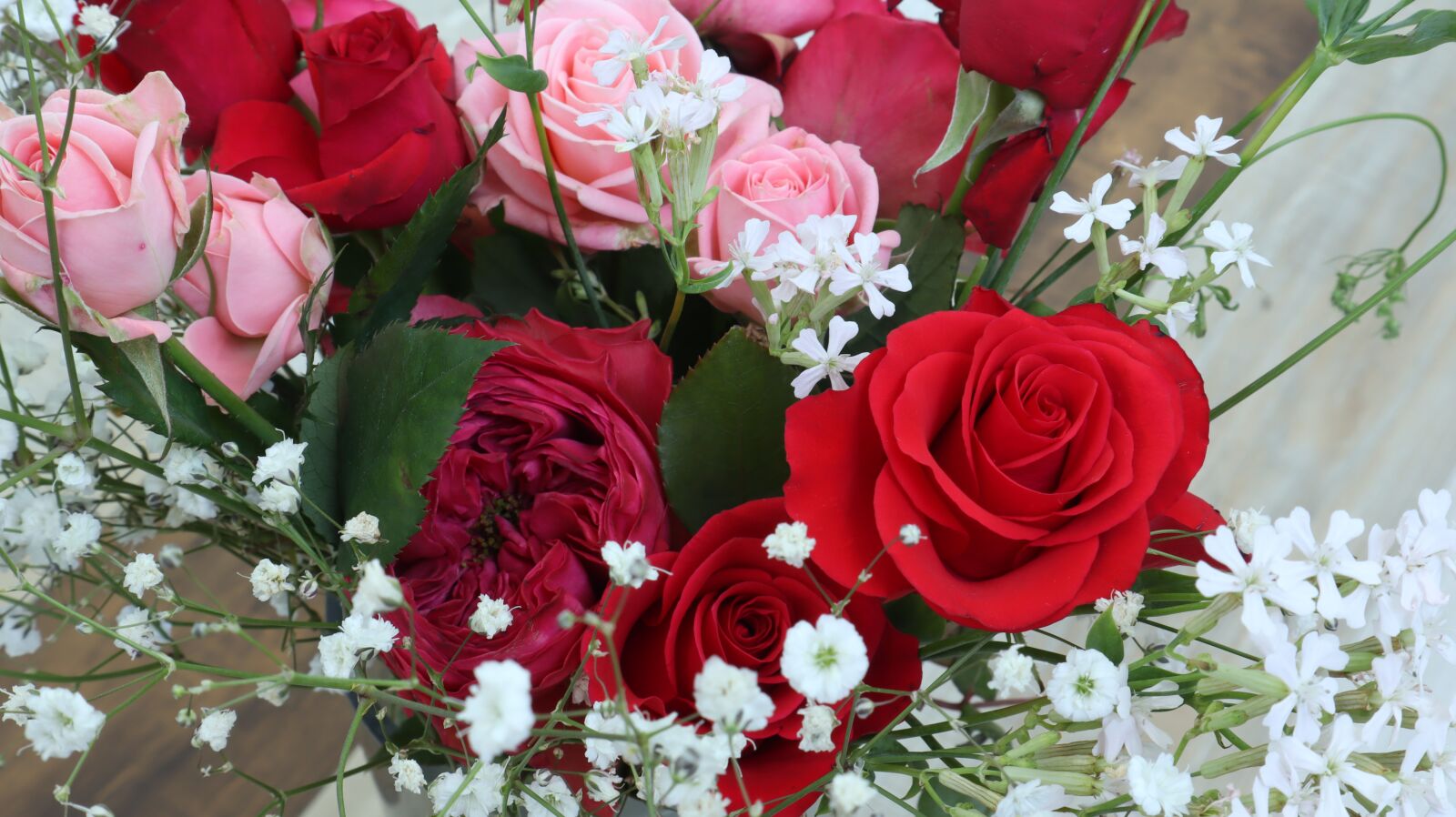 Canon EF-M 15-45mm F3.5-6.3 IS STM sample photo. Red, rose, roses photography