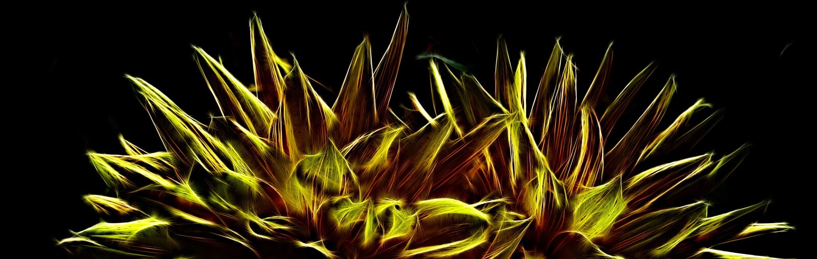 Canon PowerShot G15 sample photo. Surreal, flowers, fractalius photography