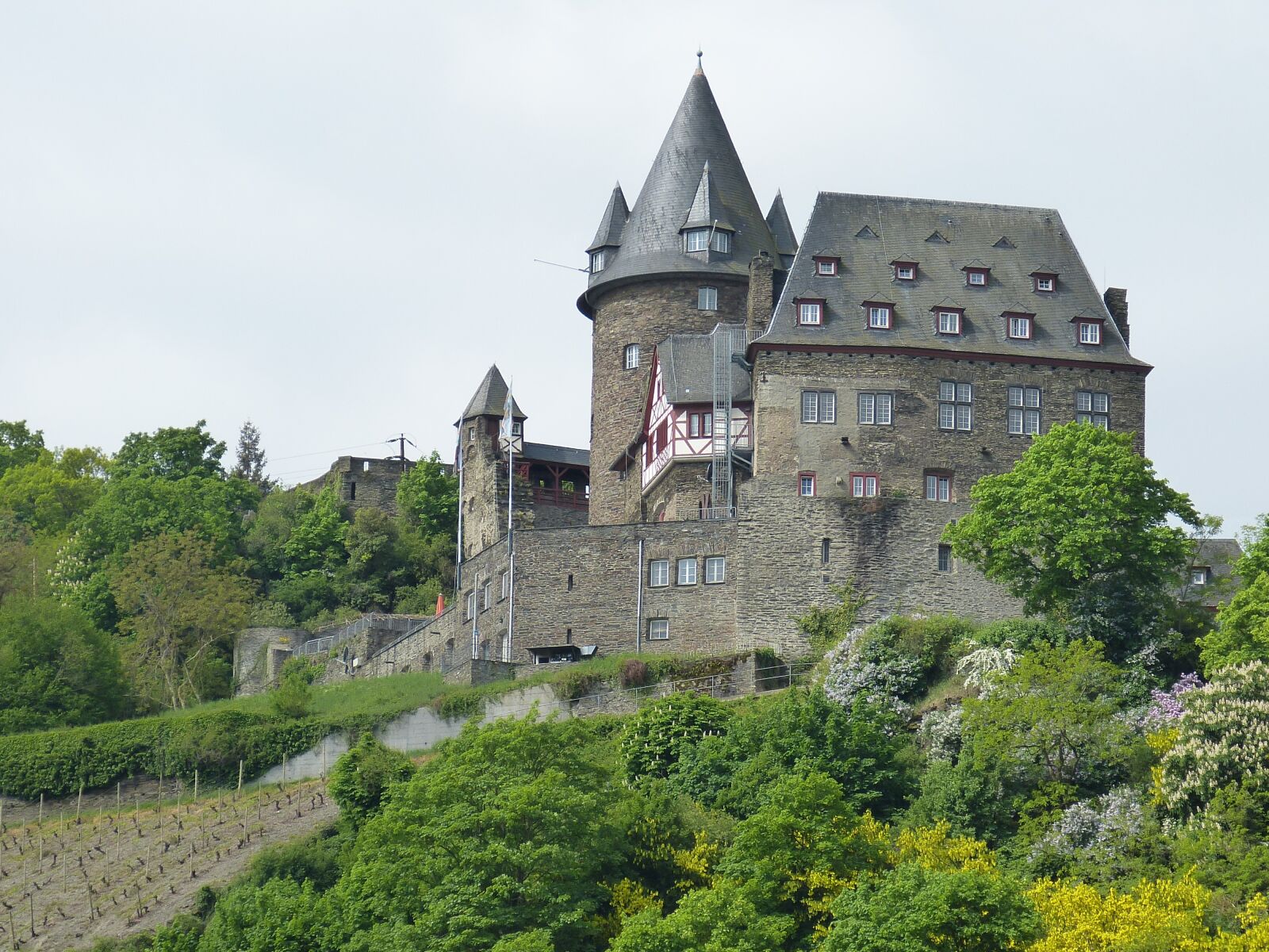 Panasonic Lumix DMC-FZ150 sample photo. Bacharach, castle, fortress photography