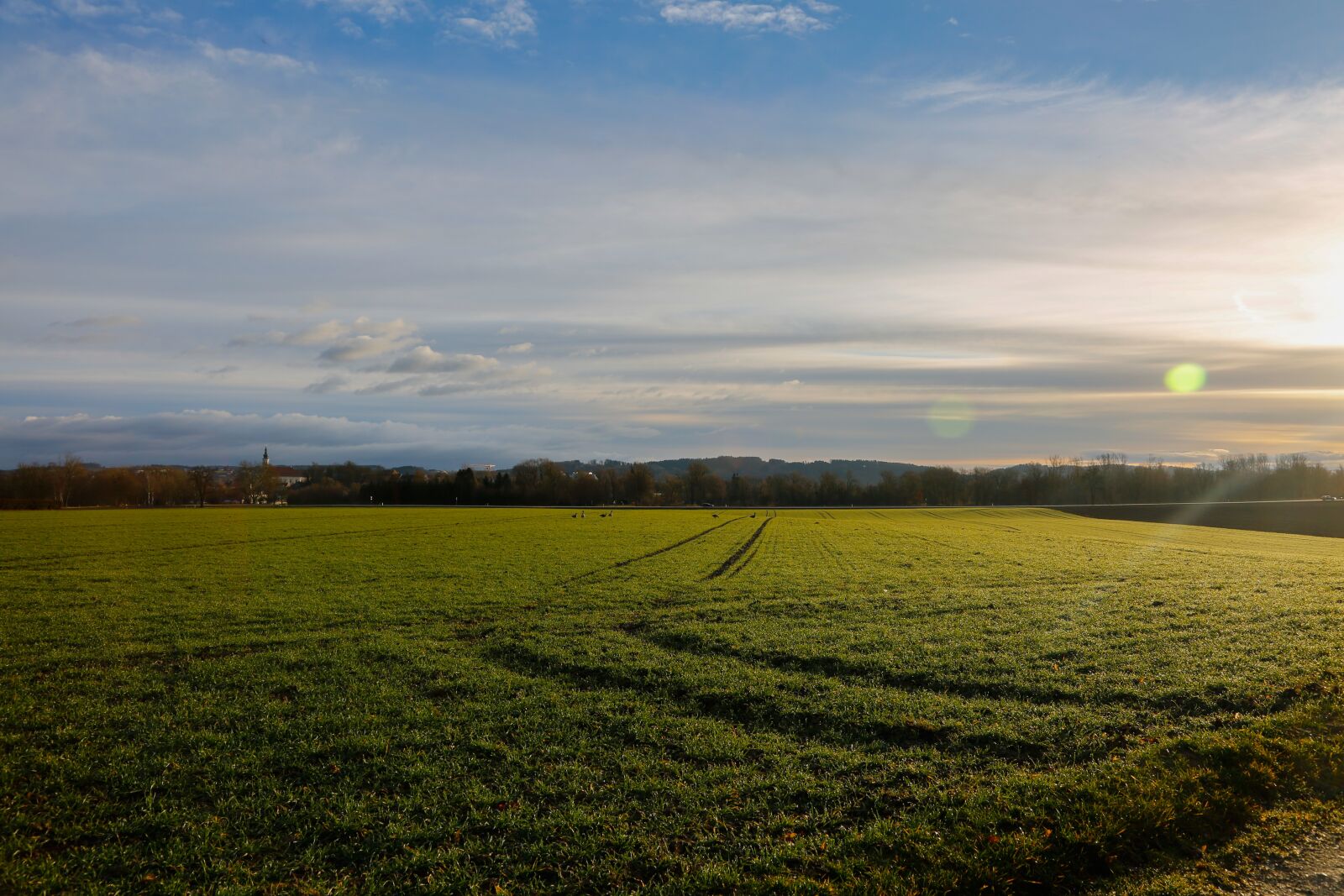 Canon EF 24-105mm F4L IS USM sample photo. Morning, field, sky photography