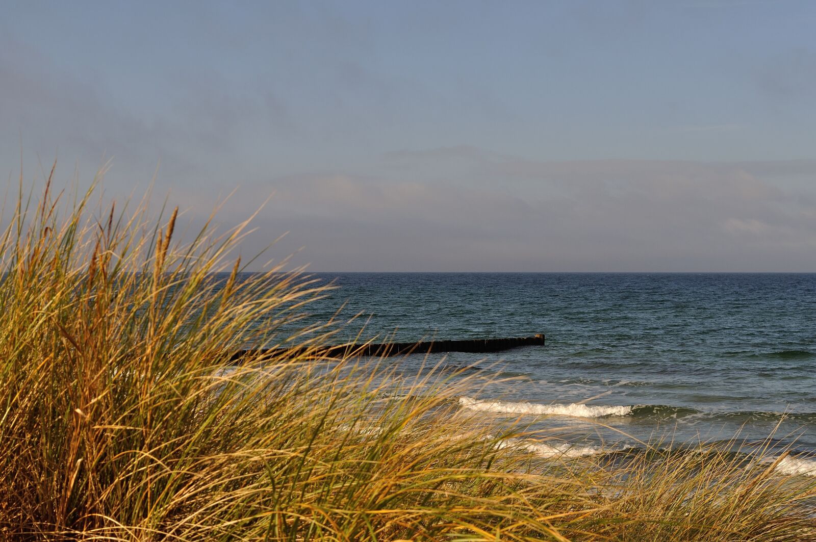Nikon D5000 sample photo. Baltic sea, beach, grass photography