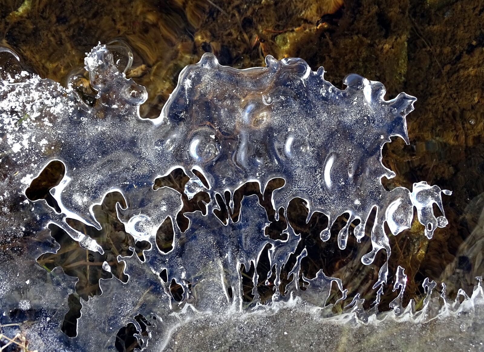 Sony DSC-HX400 sample photo. Icicle, leann, frost photography