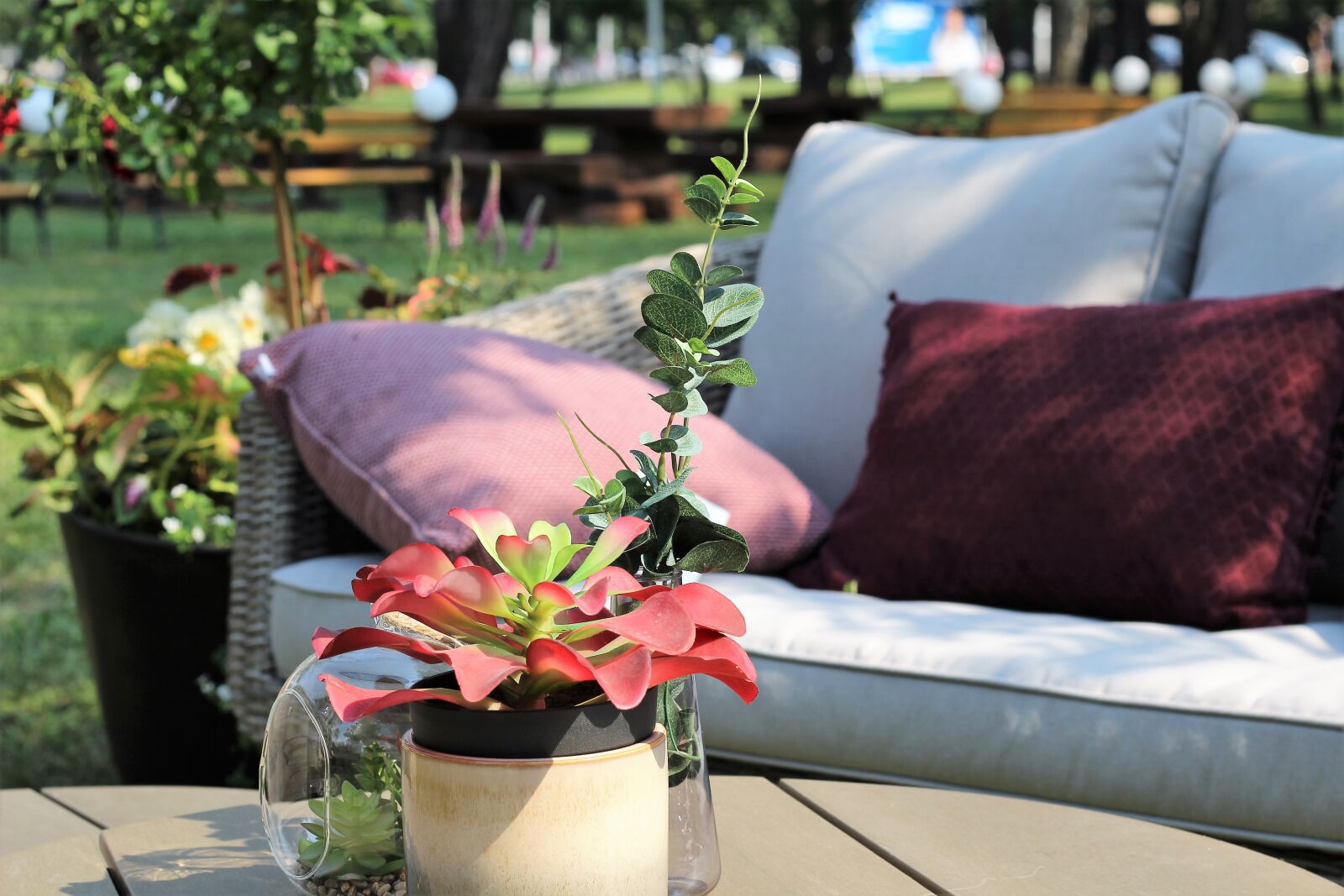 Canon EOS 600D (Rebel EOS T3i / EOS Kiss X5) + Canon EF 50mm F1.8 II sample photo. Relaxation, armchairs, zagreb floraart 2018 photography