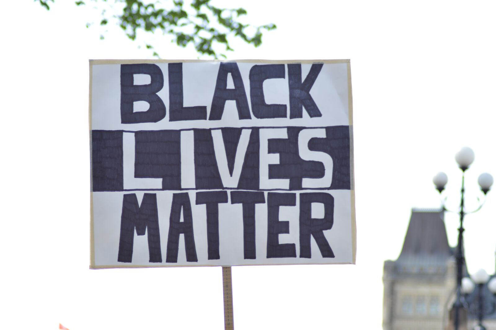 Nikon D3200 sample photo. Protest, sign, protest sign photography