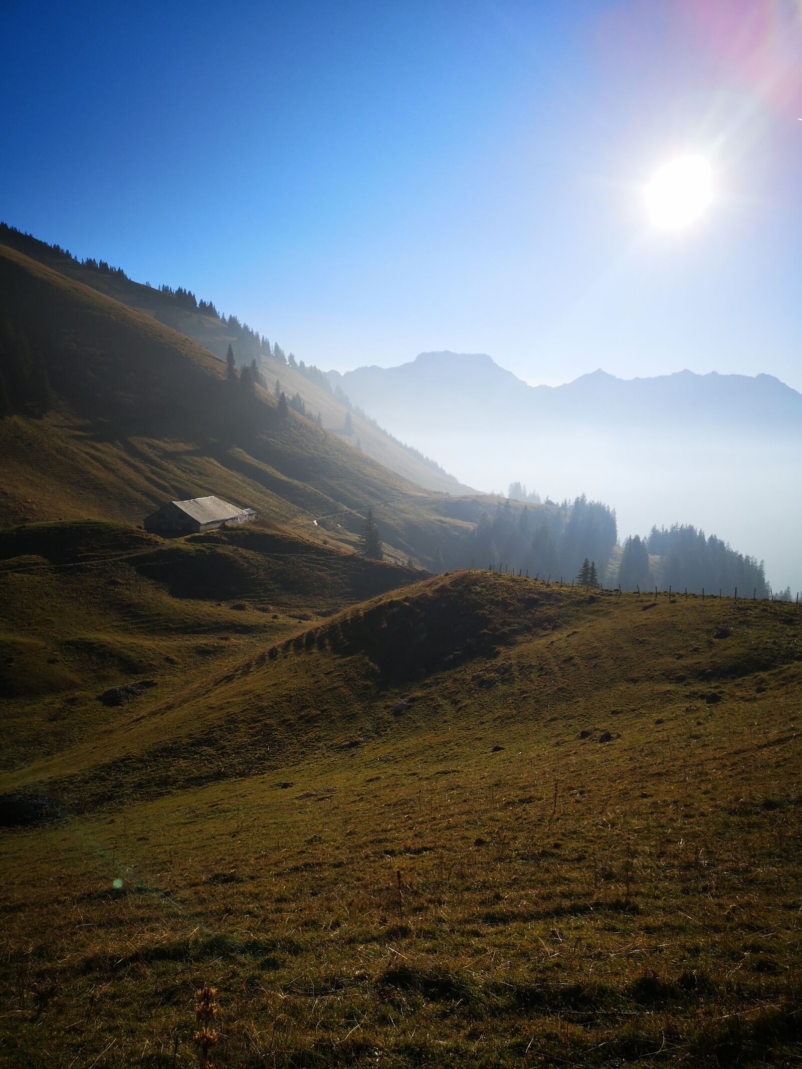 HUAWEI P20 sample photo. Mountains, mountain bike, hiking photography