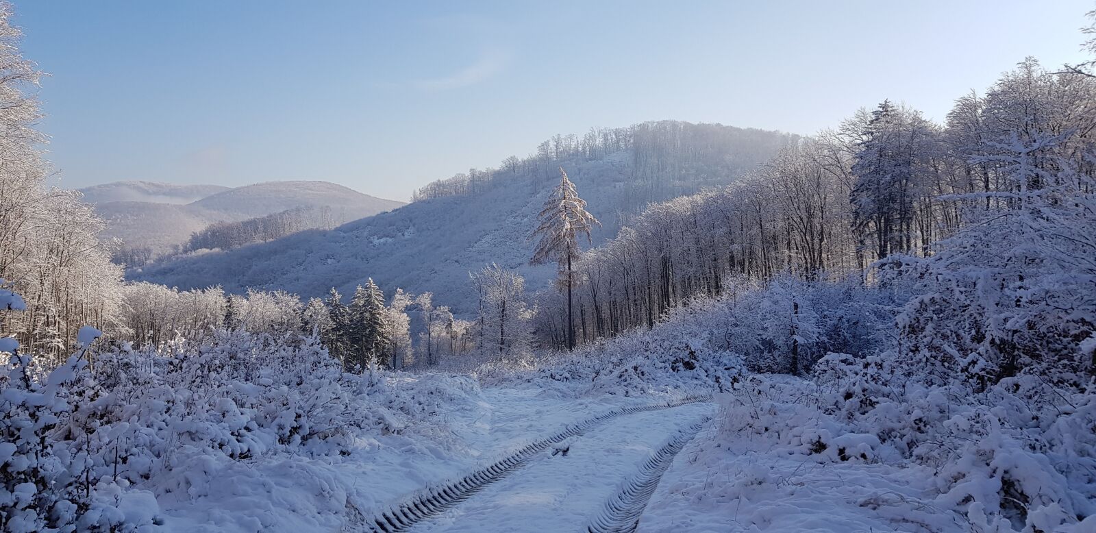 Samsung Galaxy S8 sample photo. Winter, snow, nature photography