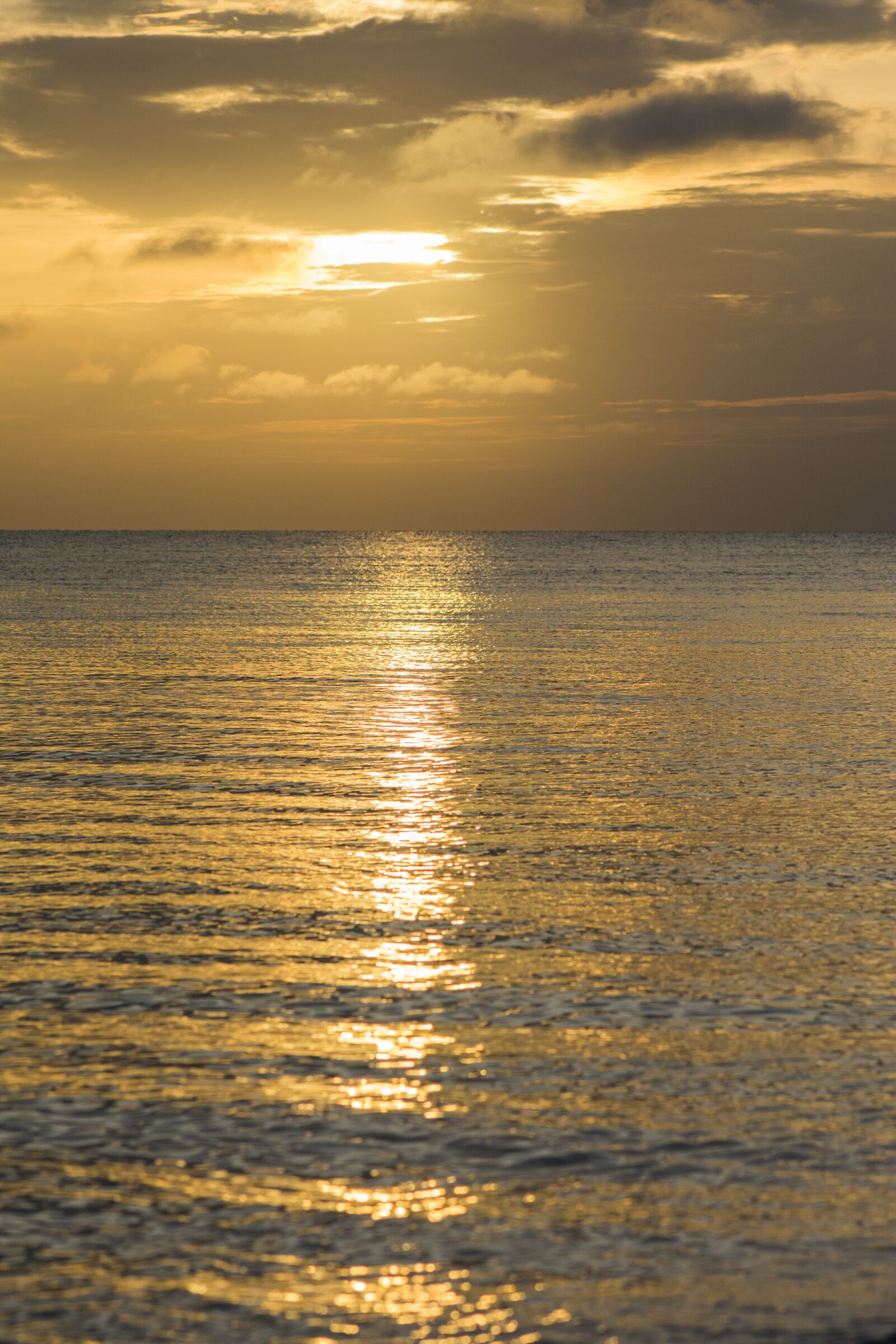 Nikon D7100 sample photo. Sunset, sea, gold photography
