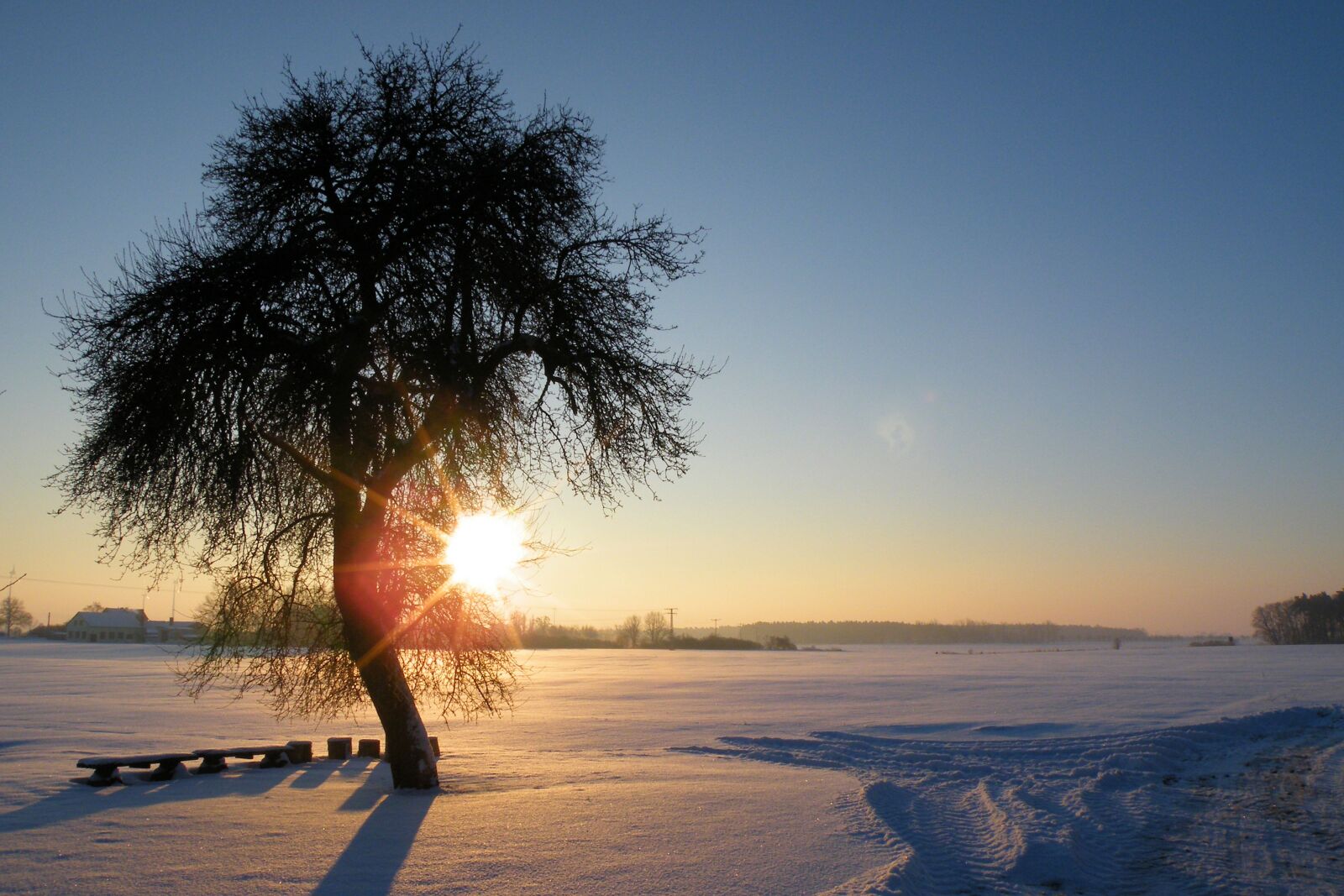 Fujifilm FinePix S8100fd sample photo. Sunrise, winter impressions, wintry photography